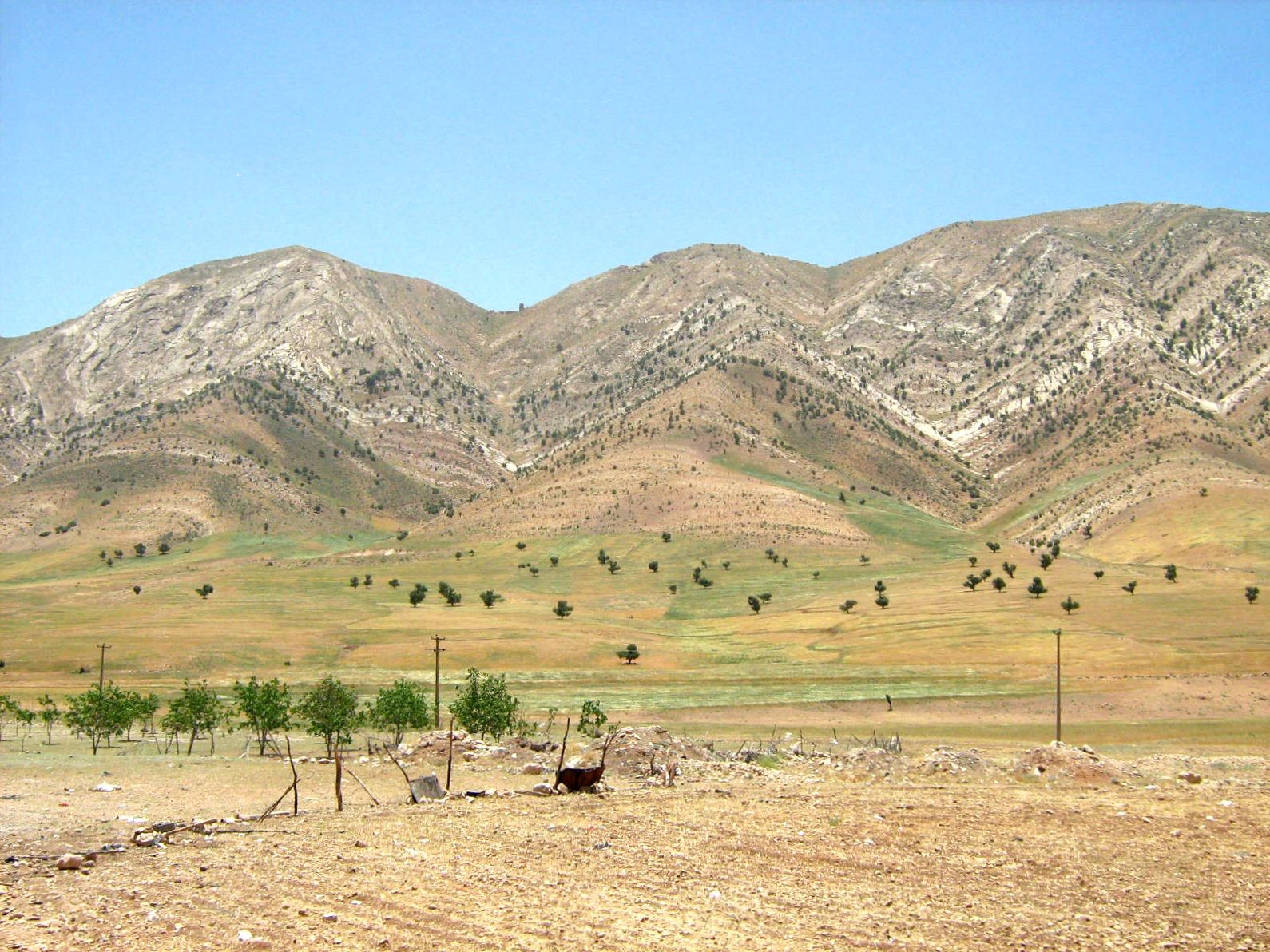 Community photo entitled  by Hassan Dadashi . Arani on 08/26/2024 at Chaharmahal and Bakhtiari province. Iran