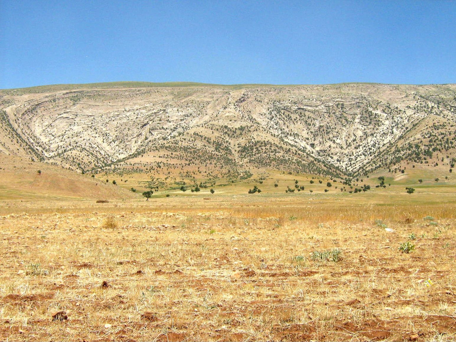 Community photo entitled  by Hassan Dadashi . Arani on 08/28/2024 at Chaharmahal and Bakhtiari province. Iran