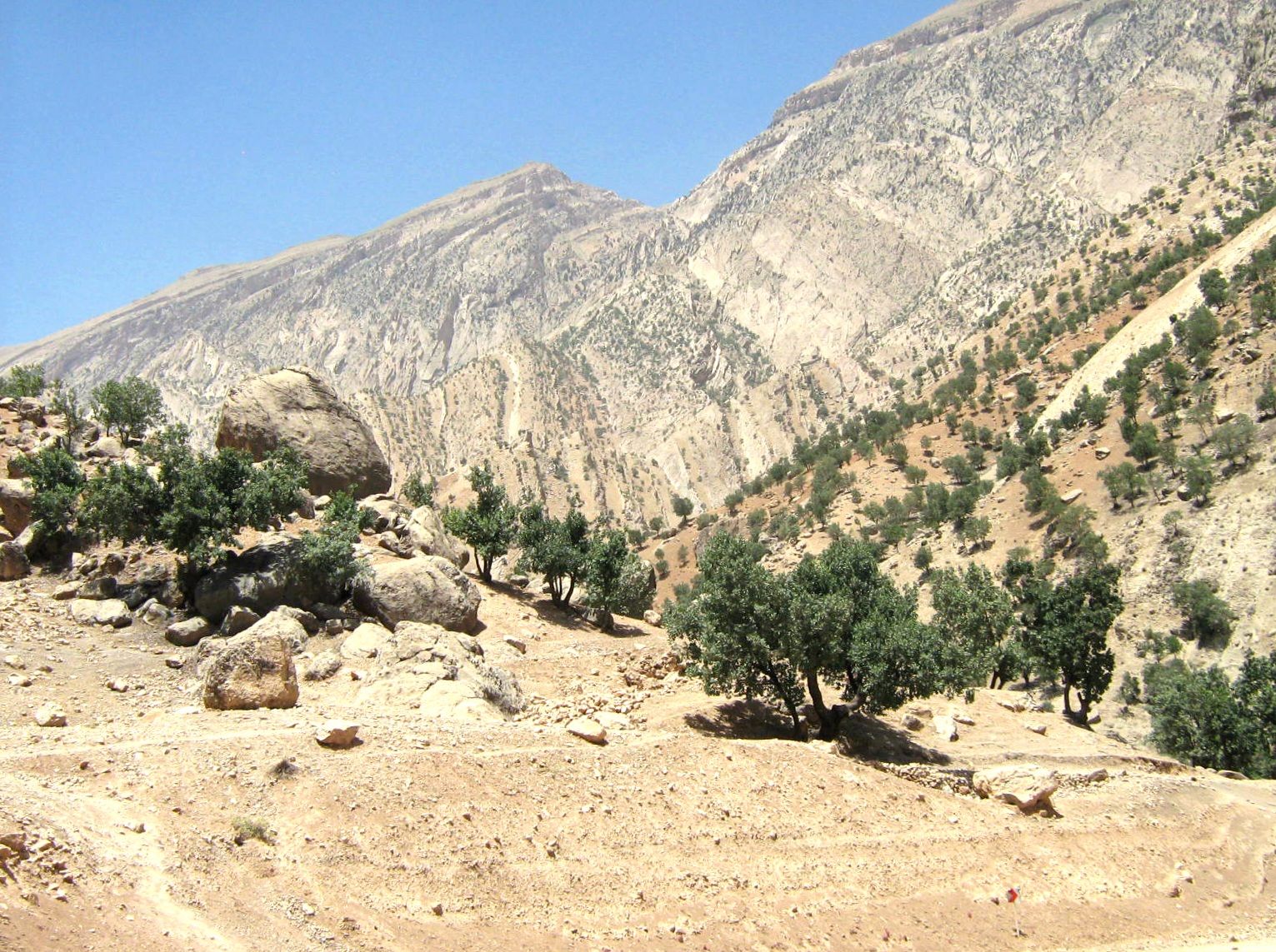 Community photo entitled  by Hassan Dadashi . Arani on 08/28/2024 at Chaharmahal and Bakhtiari province. Iran