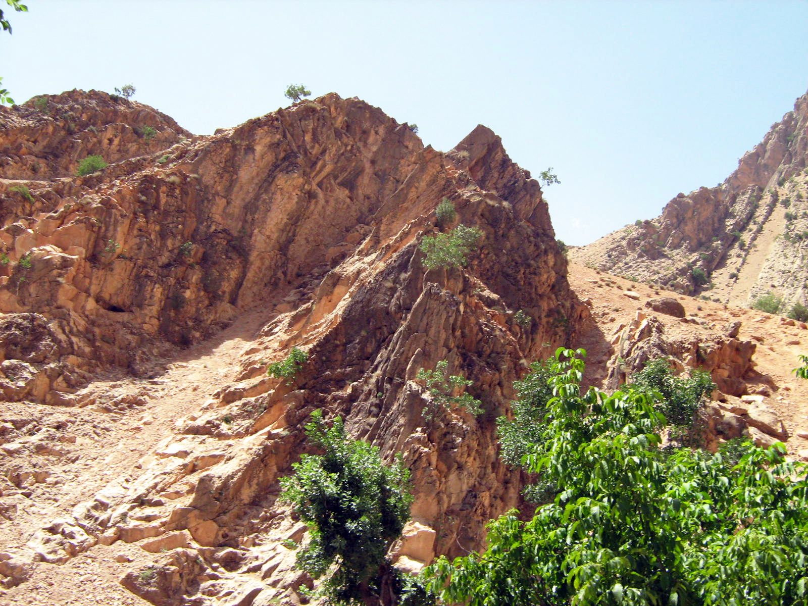 Community photo entitled  by Hassan Dadashi . Arani on 08/29/2024 at Chaharmahal and Bakhtiari province. Iran