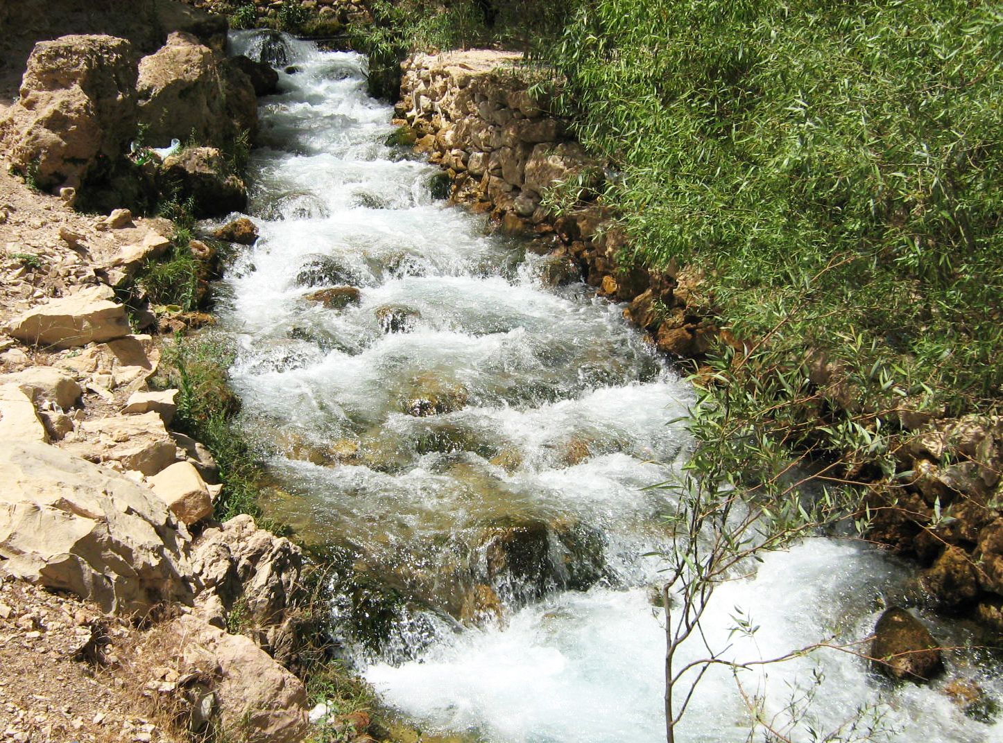 Community photo entitled  by Hassan Dadashi . Arani on 08/31/2024 at Chaharmahal and Bakhtiari province. Iran