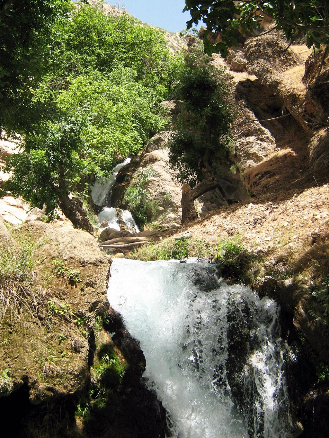 Community photo entitled  by Hassan Dadashi . Arani on 09/01/2024 at Chaharmahal and Bakhtiari province. Iran