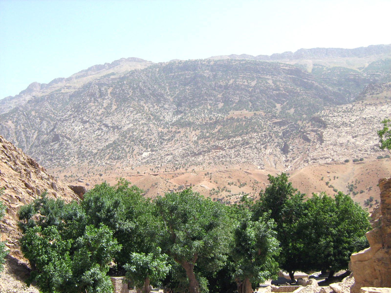 Community photo entitled  by Hassan Dadashi . Arani on 08/29/2024 at Chaharmahal and Bakhtiari province. Iran