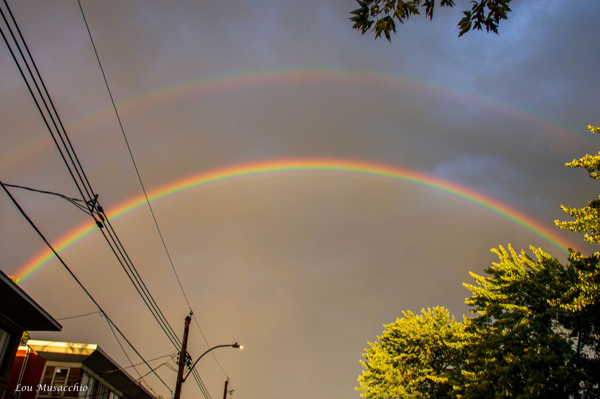 Community photo entitled The Bow by Lou Musacchio on 08/10/2024 at Montreal, Quebec, Canada