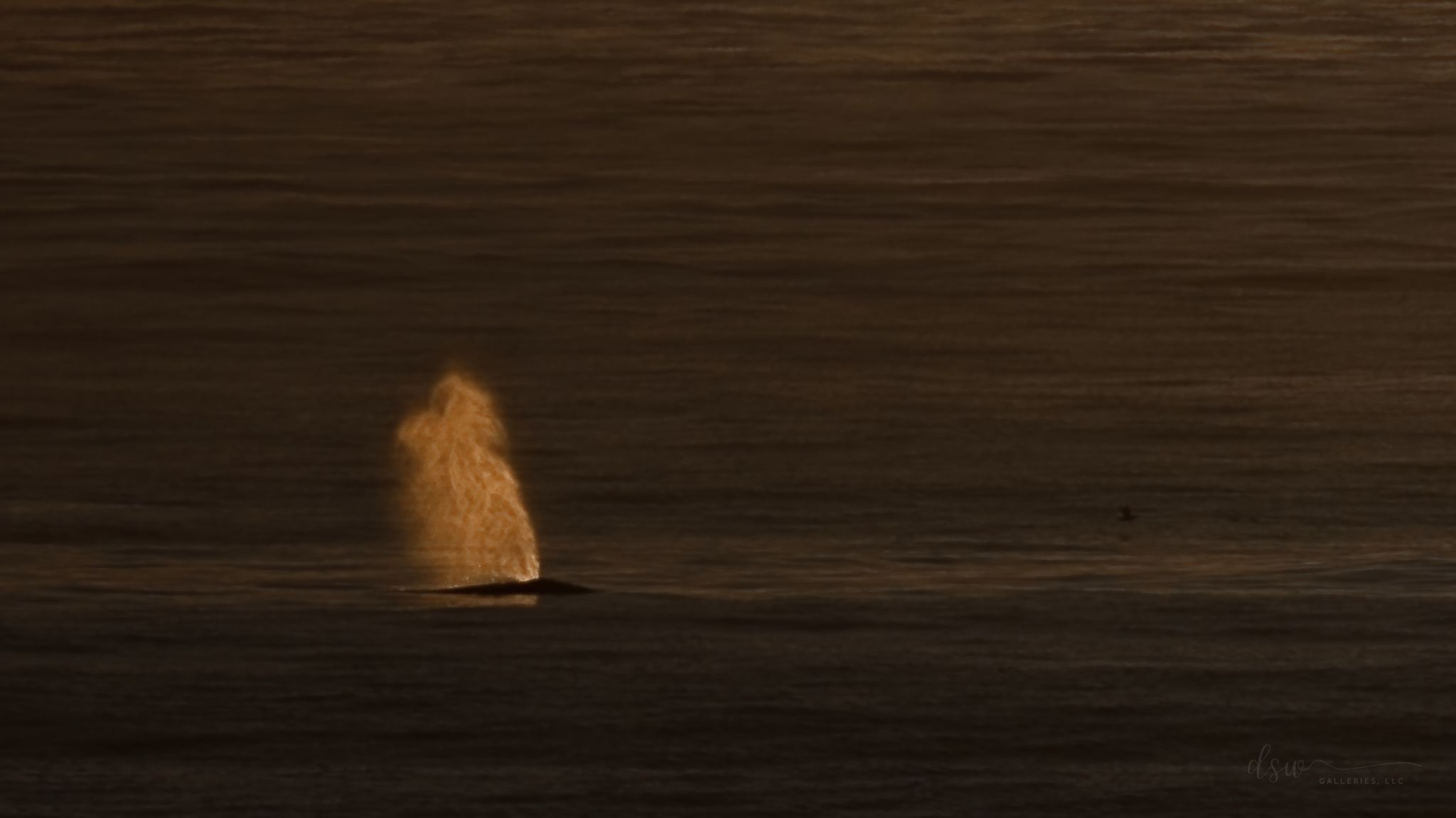 Community photo entitled Gold Spout by Jeremy Likness on 08/01/2024 at Nye Beach, Newport, Oregon, USA