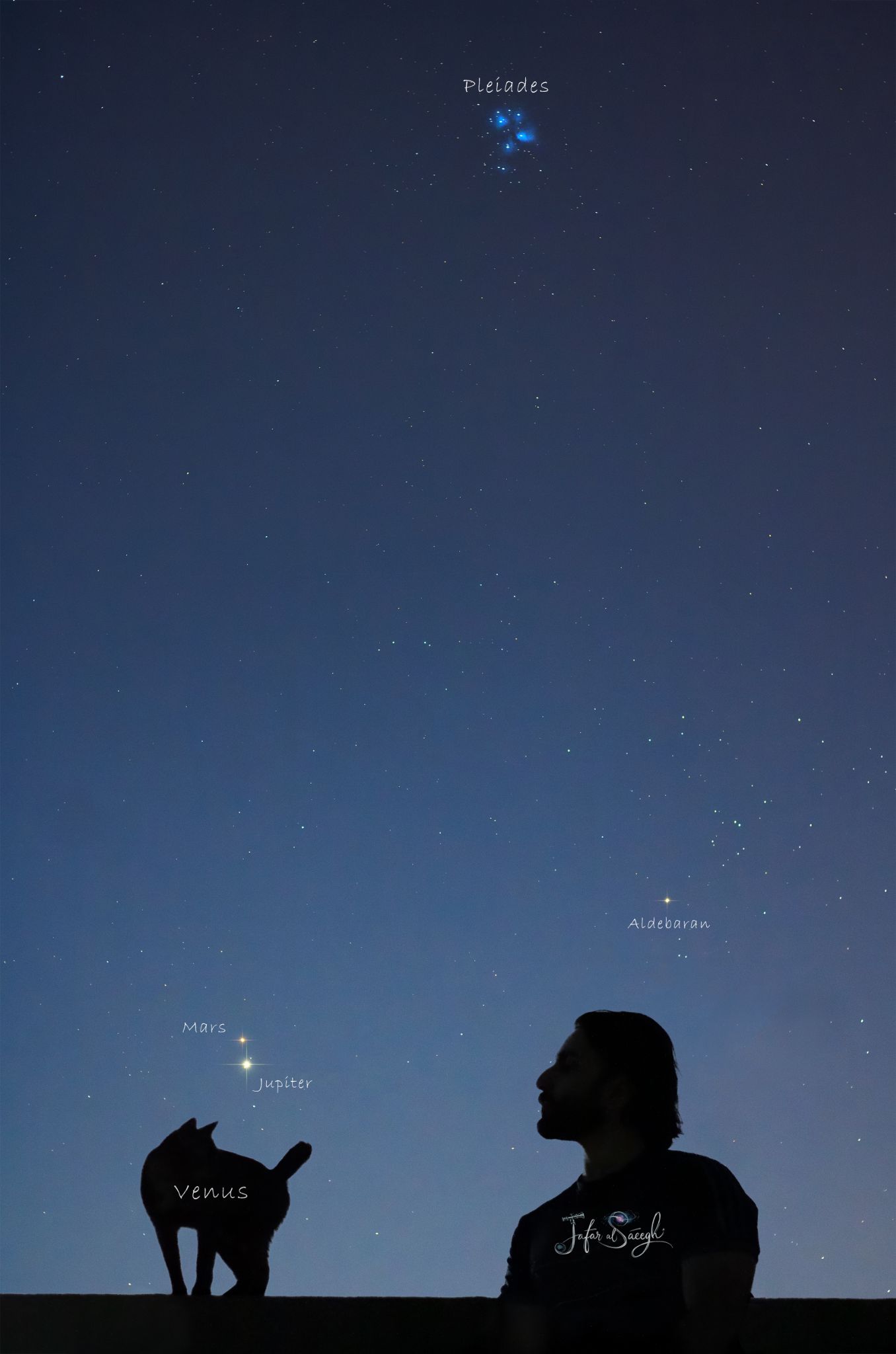 Community photo entitled wild-field of Jupiter and mars, aldebaran & pleiades and Veuns(the cat!) by Jafar Al-Saeegh on 08/14/2024 at karbala, Iraq