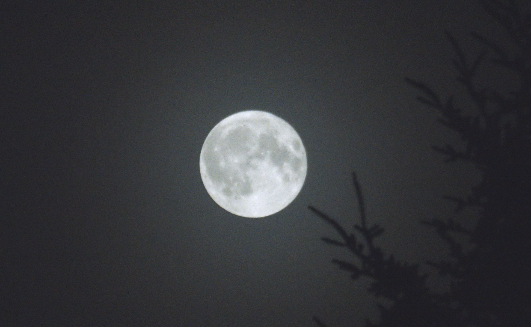 Community photo entitled Full moon through fog by David Hoskin on 08/19/2024 at Halifax, Nova Scotia, Canada