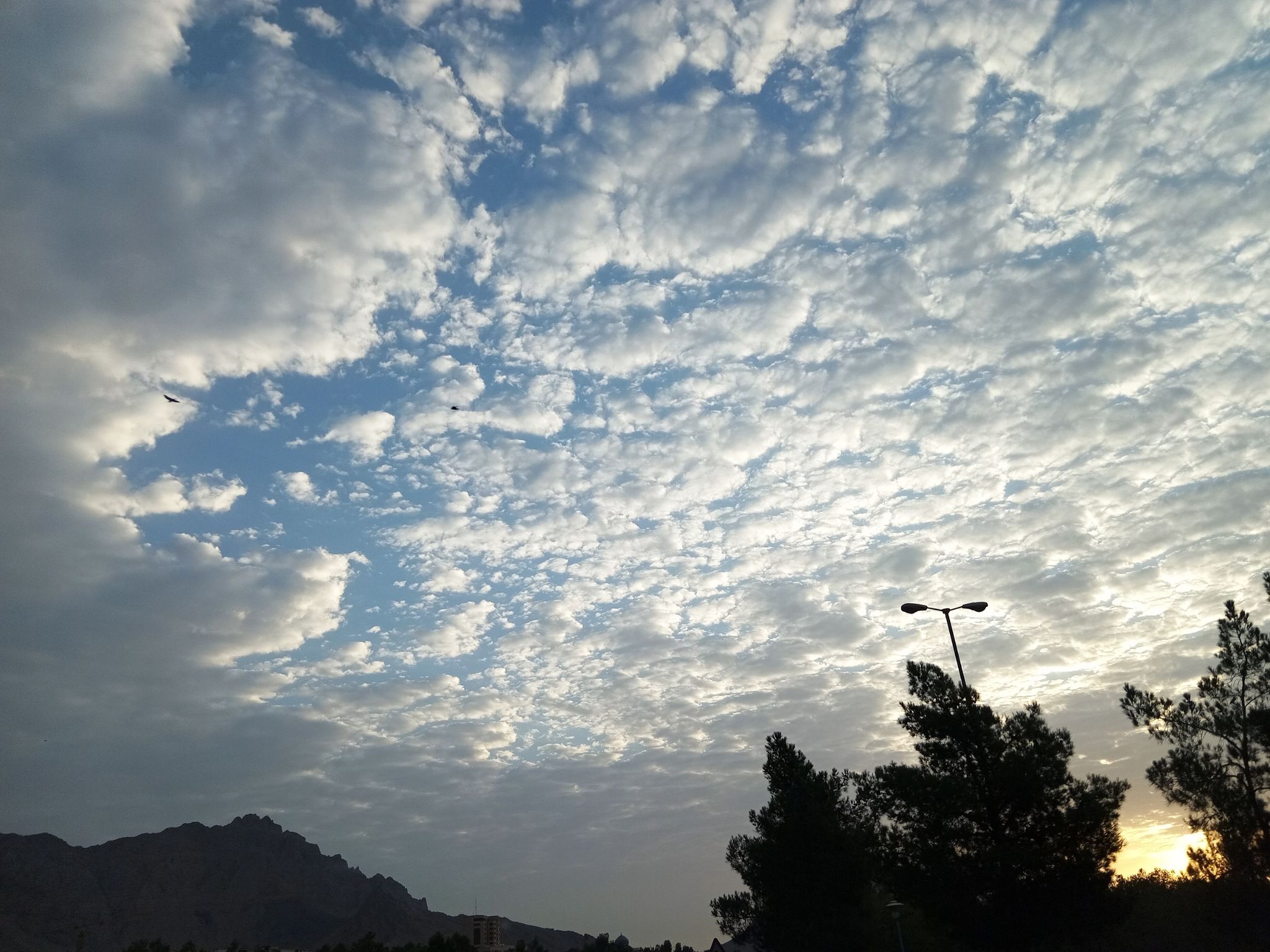 Community photo entitled  by Hassan Dadashi . Arani on 08/14/2024 at Esfahan. Iran