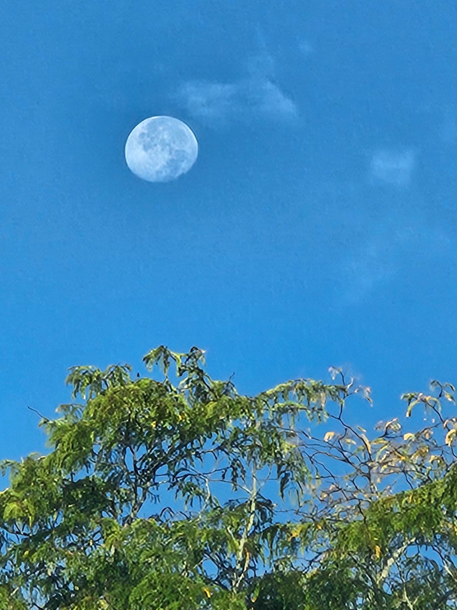 Community photo entitled Good Morning Moon by C. Gentile on 09/20/2024 at Florham Park, NJ USA