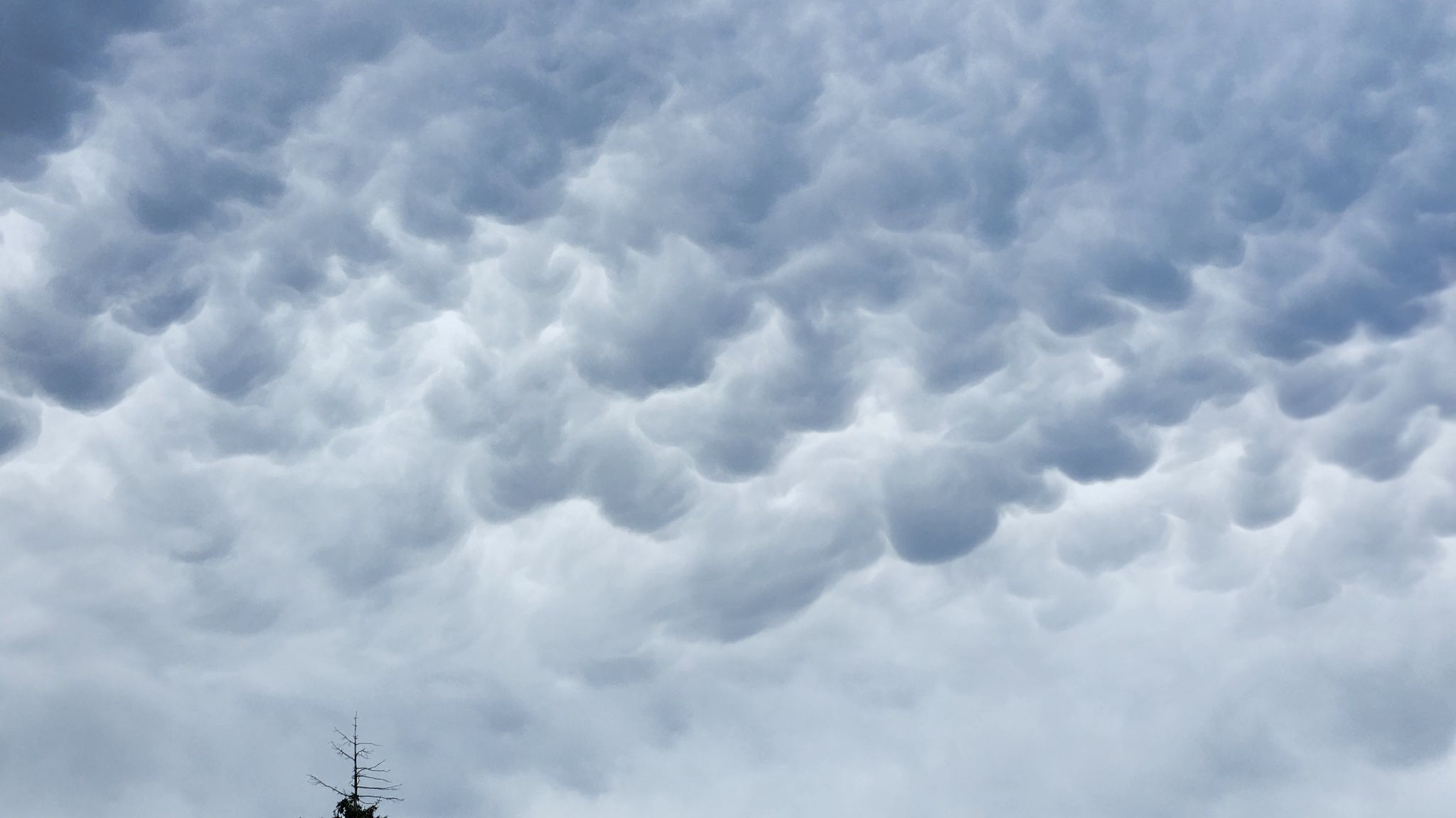 Community photo entitled Pretty clouds. by Brenda J. on 09/28/2024 at Tacoma, WASHINGTON