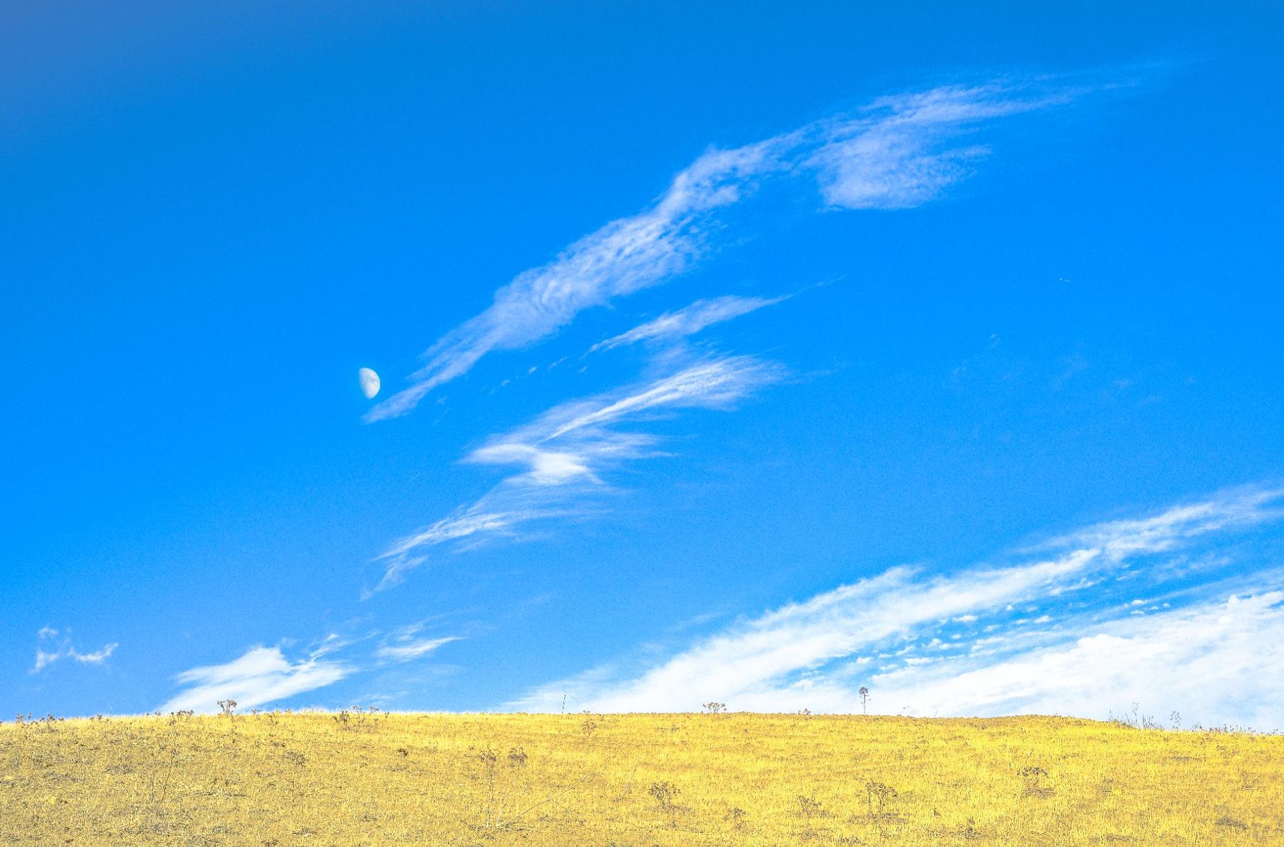 Community photo entitled Moon dancing with the clouds by Teresa Molinaro on 09/12/2024 at Baucina, Palermo, Sicilia