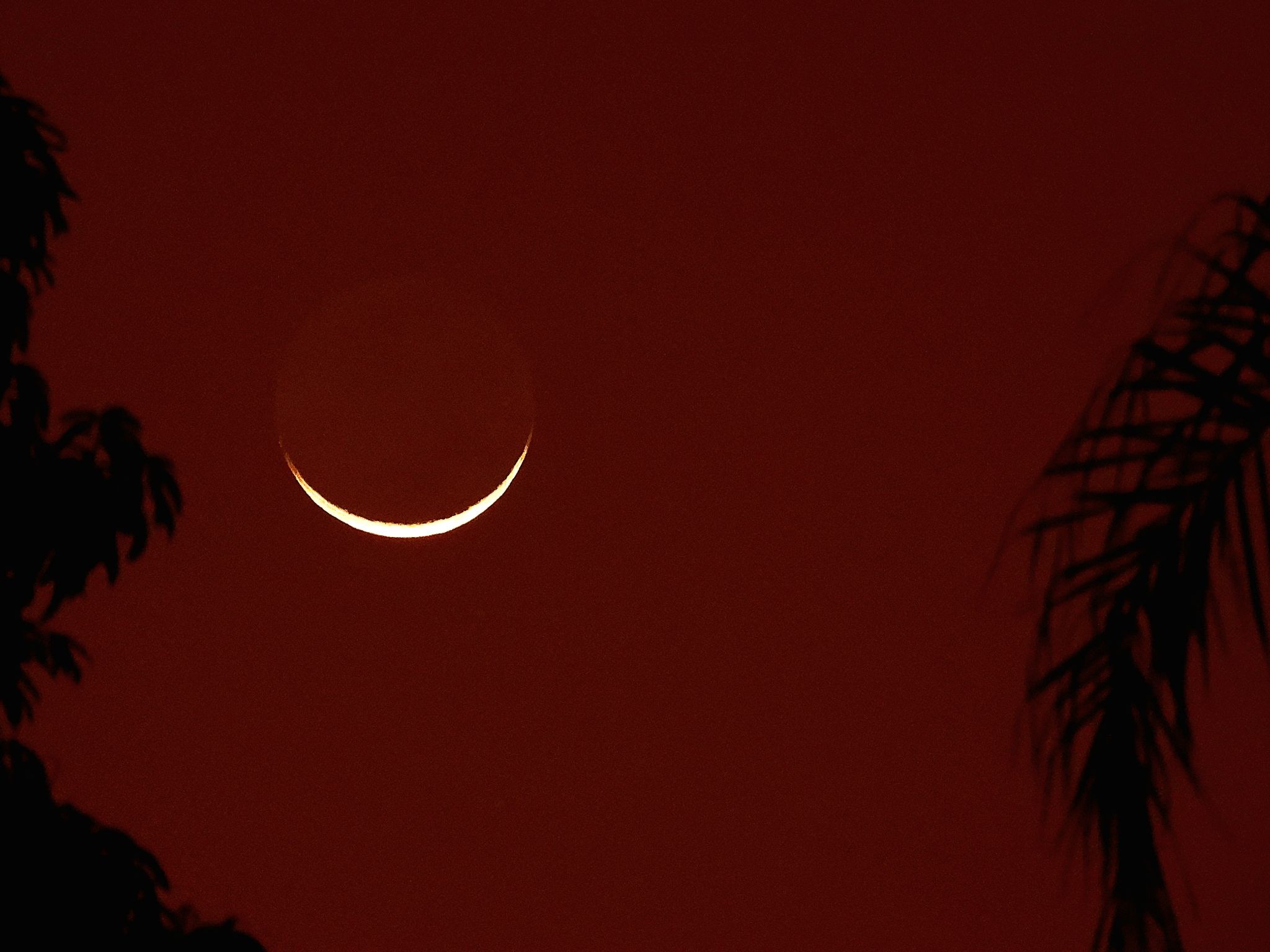 Community photo entitled The moon is a baby! by Roosevelt Silva on 09/04/2024 at Brasilia, DF, Brasil