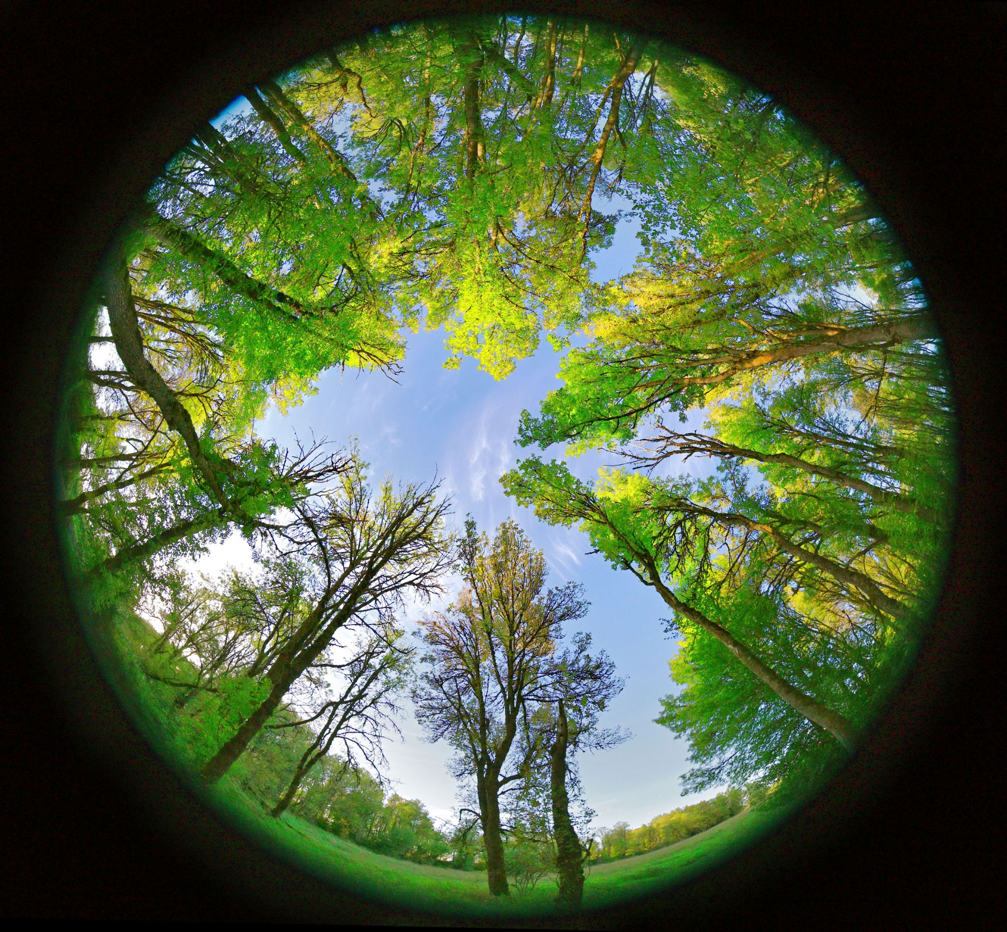 Community photo entitled Summer's Lease by Cecille Kennedy on 09/19/2024 at Ridgefield, WA