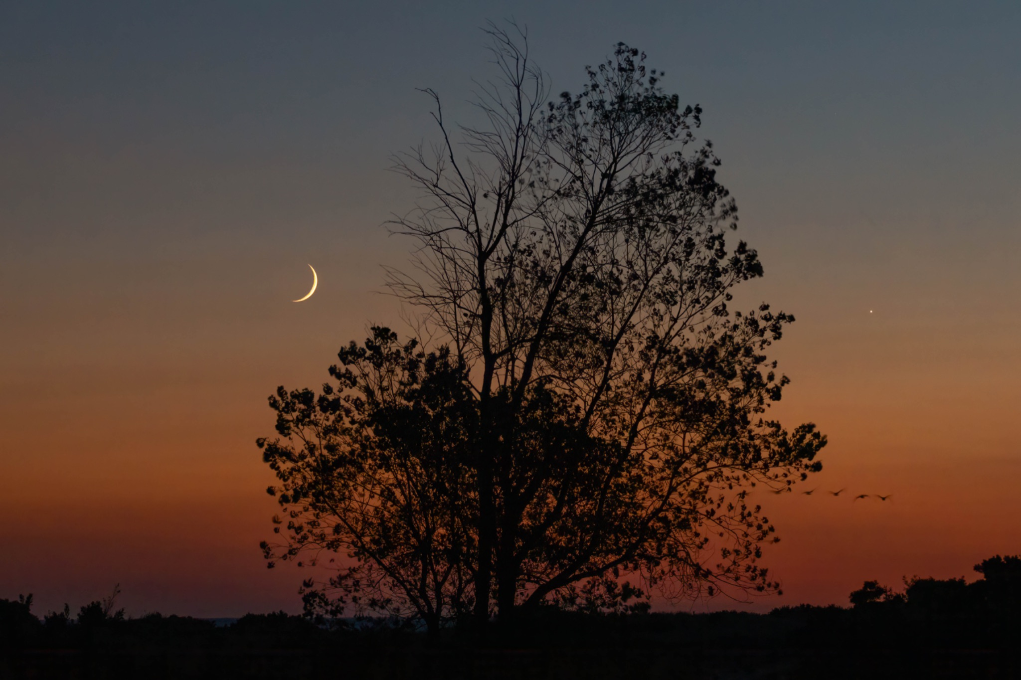 Community photo entitled Crescent moon and Venus by Nancy Ricigliano on 09/05/2024 at LI New York