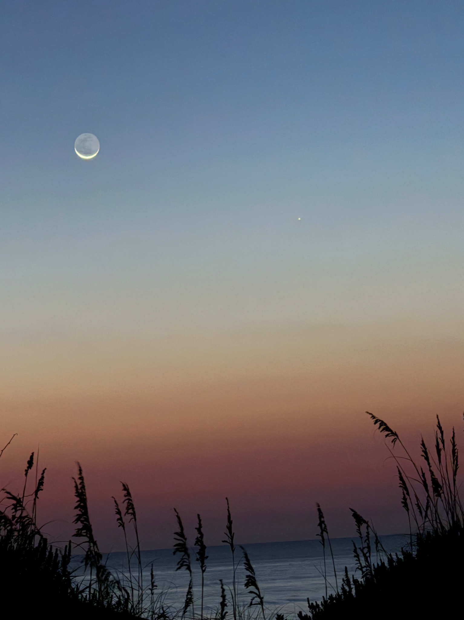 Community photo by Oliver Barry | Kill Devil Hills, NC