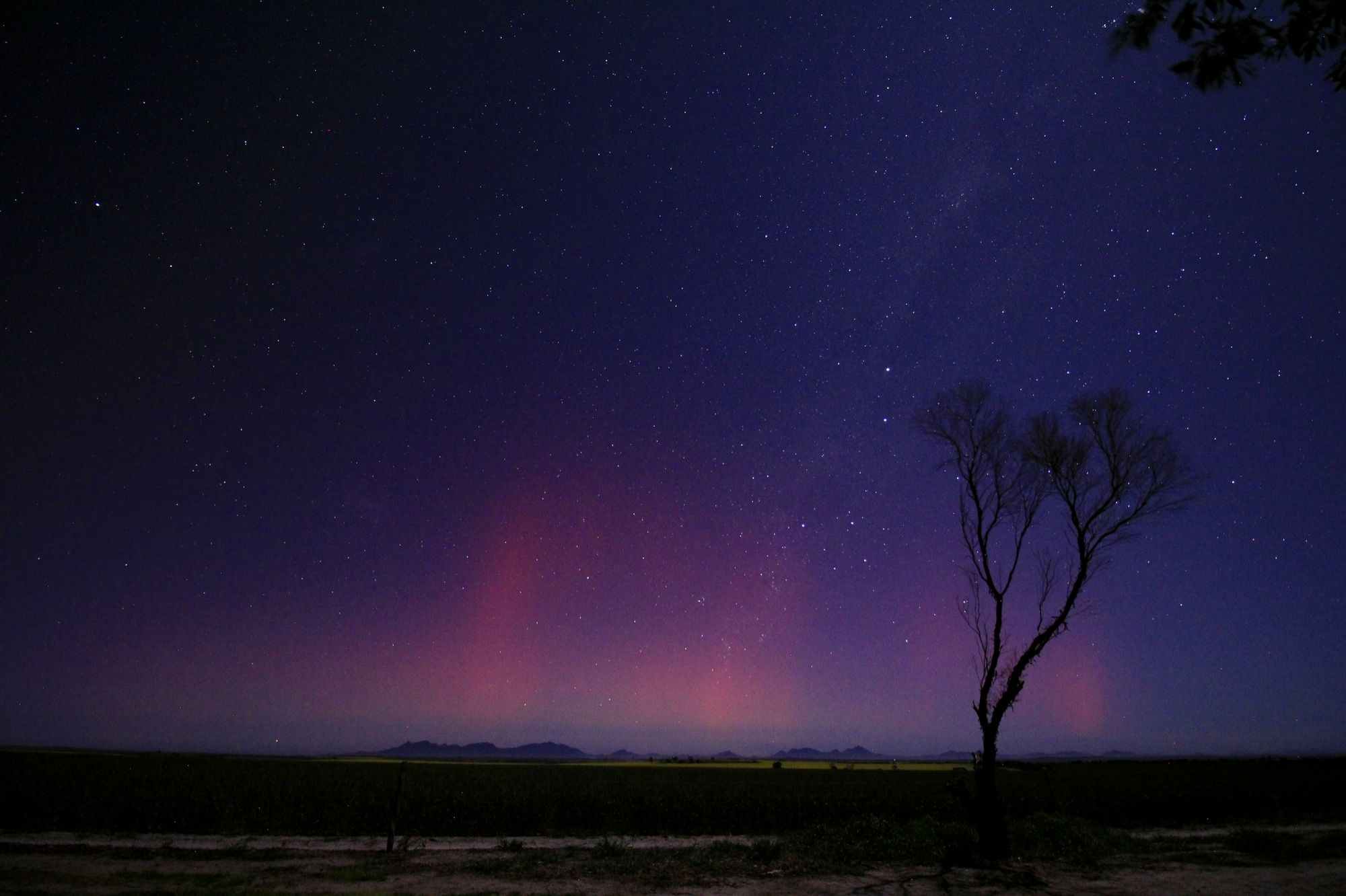 Community photo entitled Aurora australis in the great Southern. by Andrea Deegan on 09/12/2024 at north of Borden Western Australia