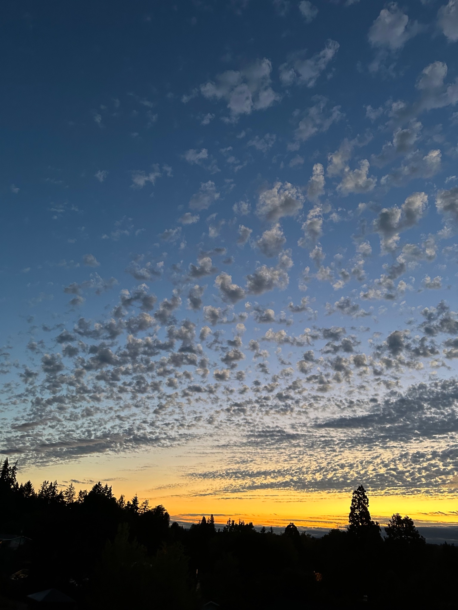 Community photo entitled  by Victoria Bryhan on 09/25/2024 at Corvallis, Oregon