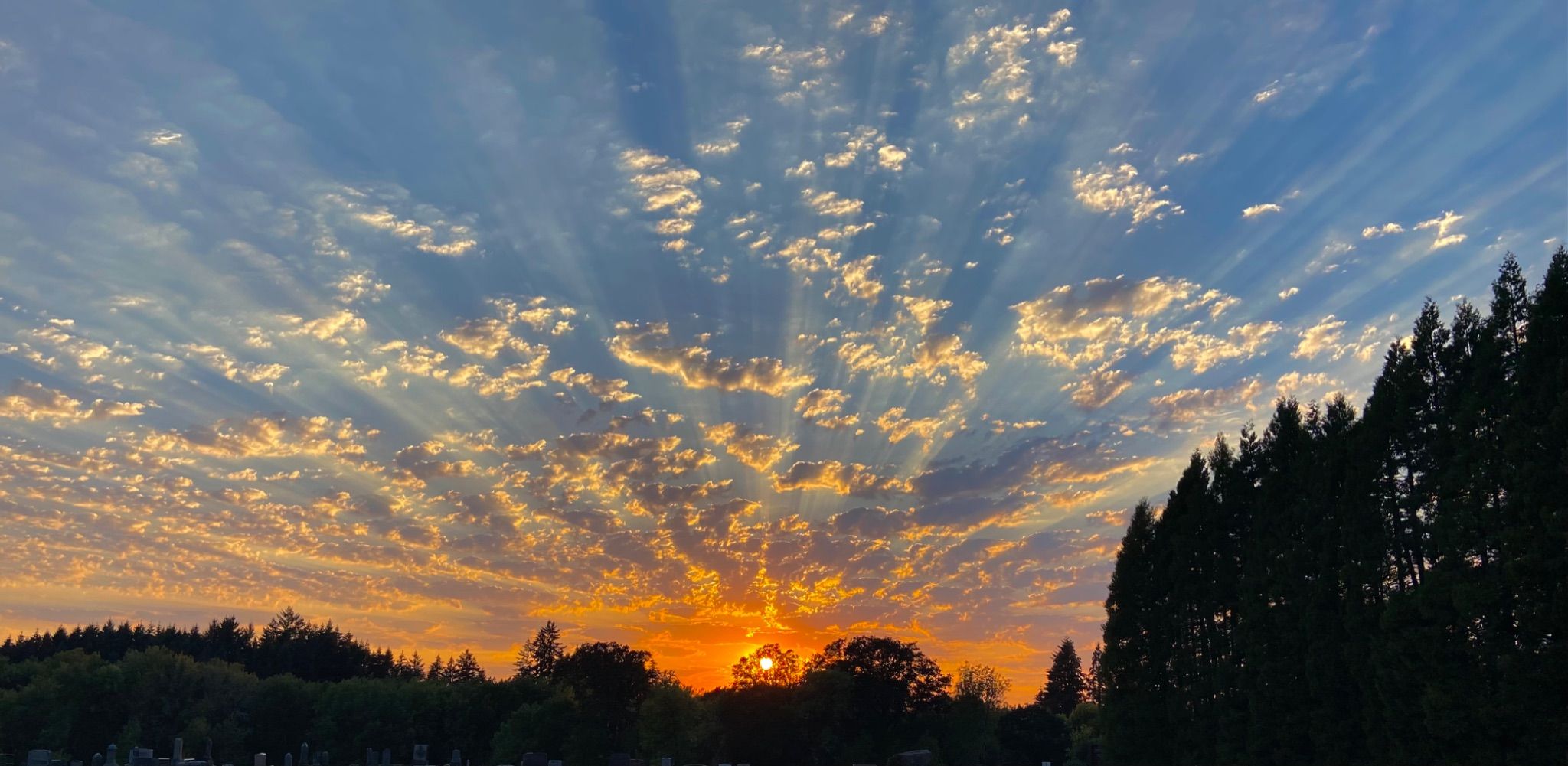 Community photo entitled Gorgeous Oregon by Susan Peterson on 08/31/2024 at Amity, Oregon