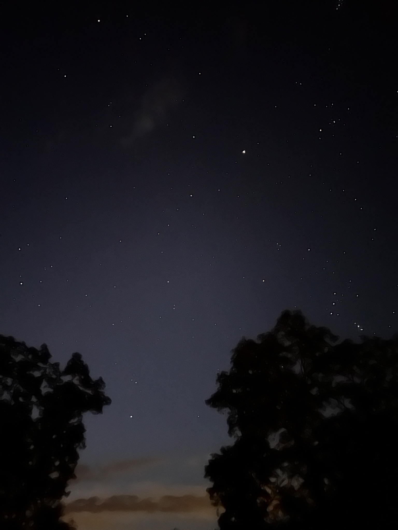 Community photo entitled Star studded skies!:) by Sudhir Sharma on 09/02/2024 at Stormville, NY