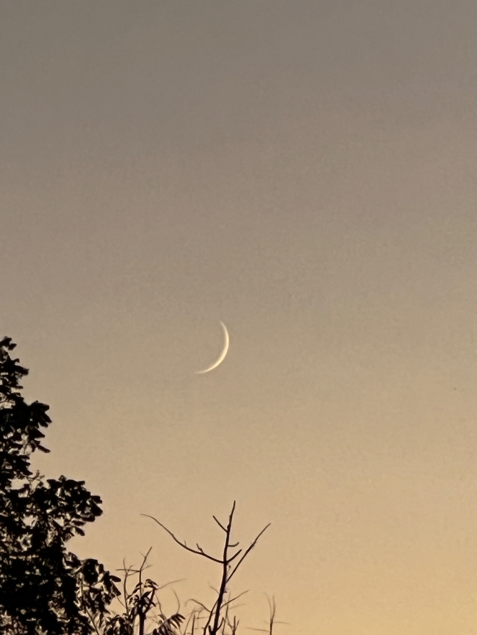 Community photo entitled Three Day old Crescent Moon by Sudhir Sharma on 09/05/2024 at Stormville, NY