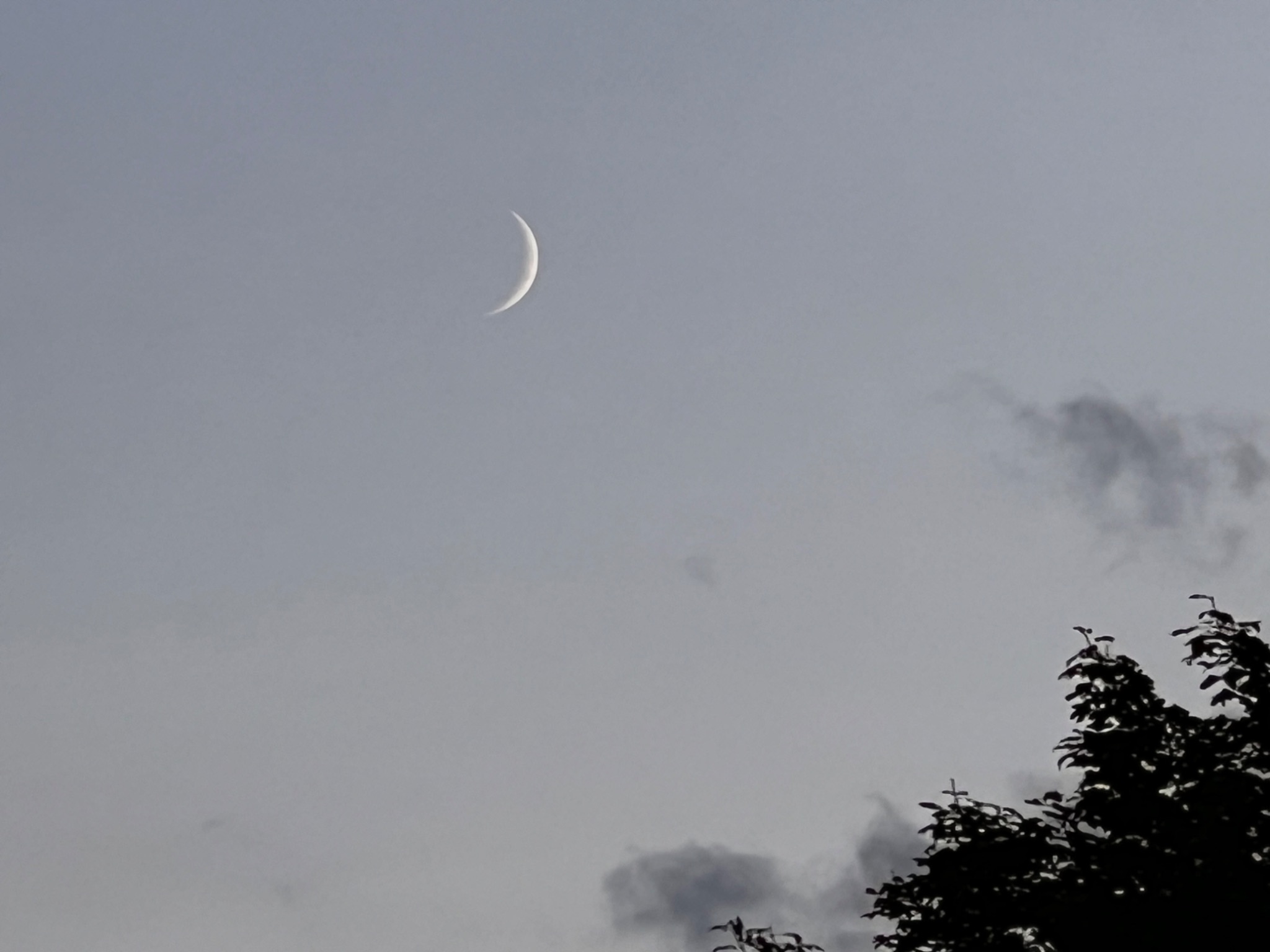 Community photo entitled Crescent Moon by Sudhir Sharma on 09/06/2024 at Stormville, NY