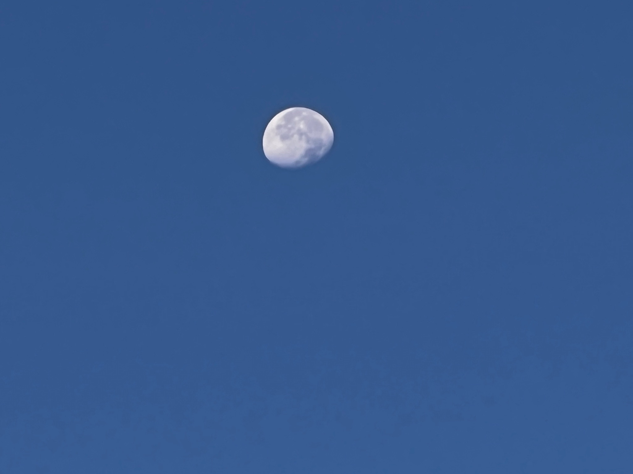 Community photo entitled Daytime Moon by Sudhir Sharma on 09/21/2024 at Stormville, NY