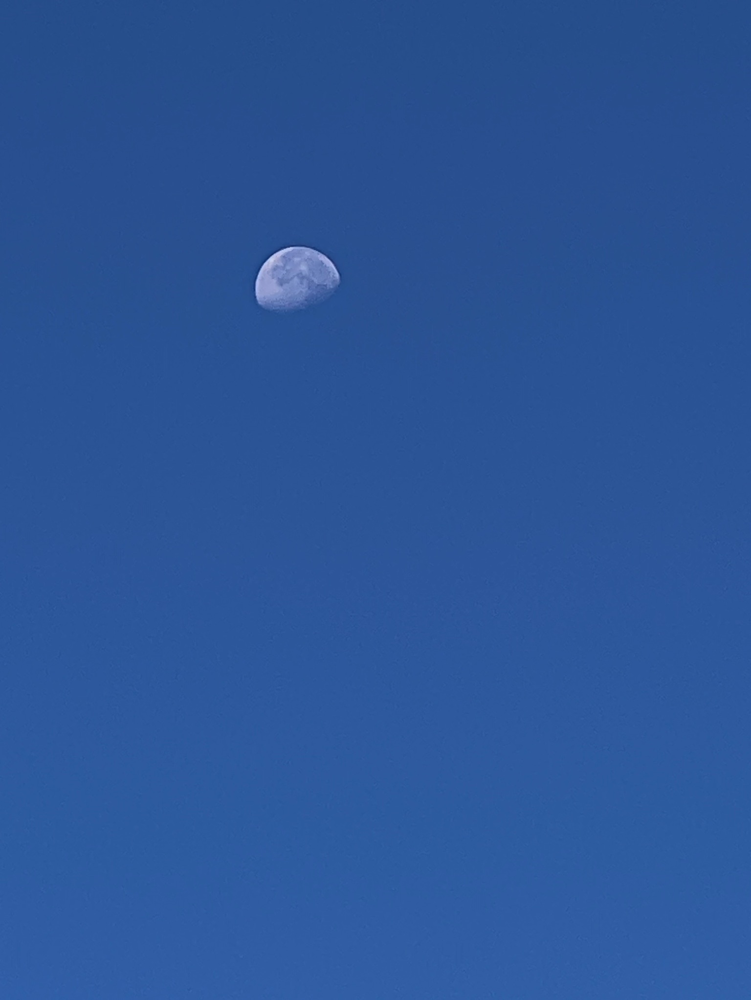 Community photo entitled Day time moon at September Equinox by Sudhir Sharma on 09/22/2024 at Stormville, NY