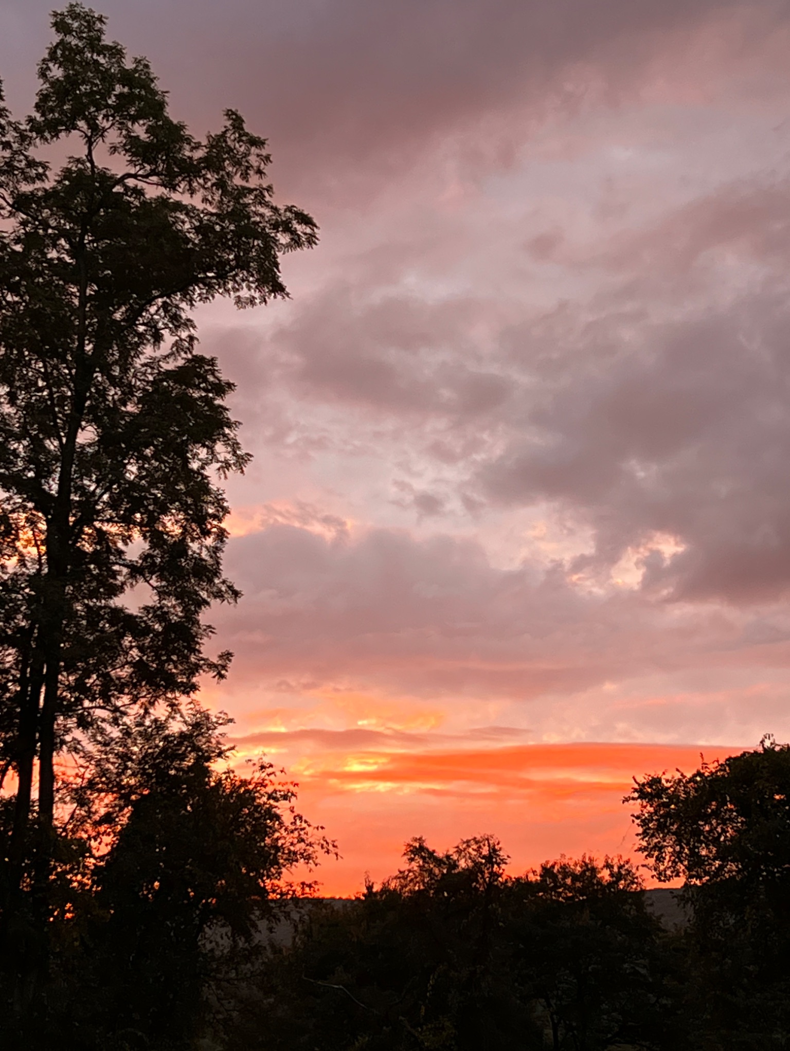 Community photo entitled Morning Skies by Sudhir Sharma on 09/25/2024 at Stormville, NY