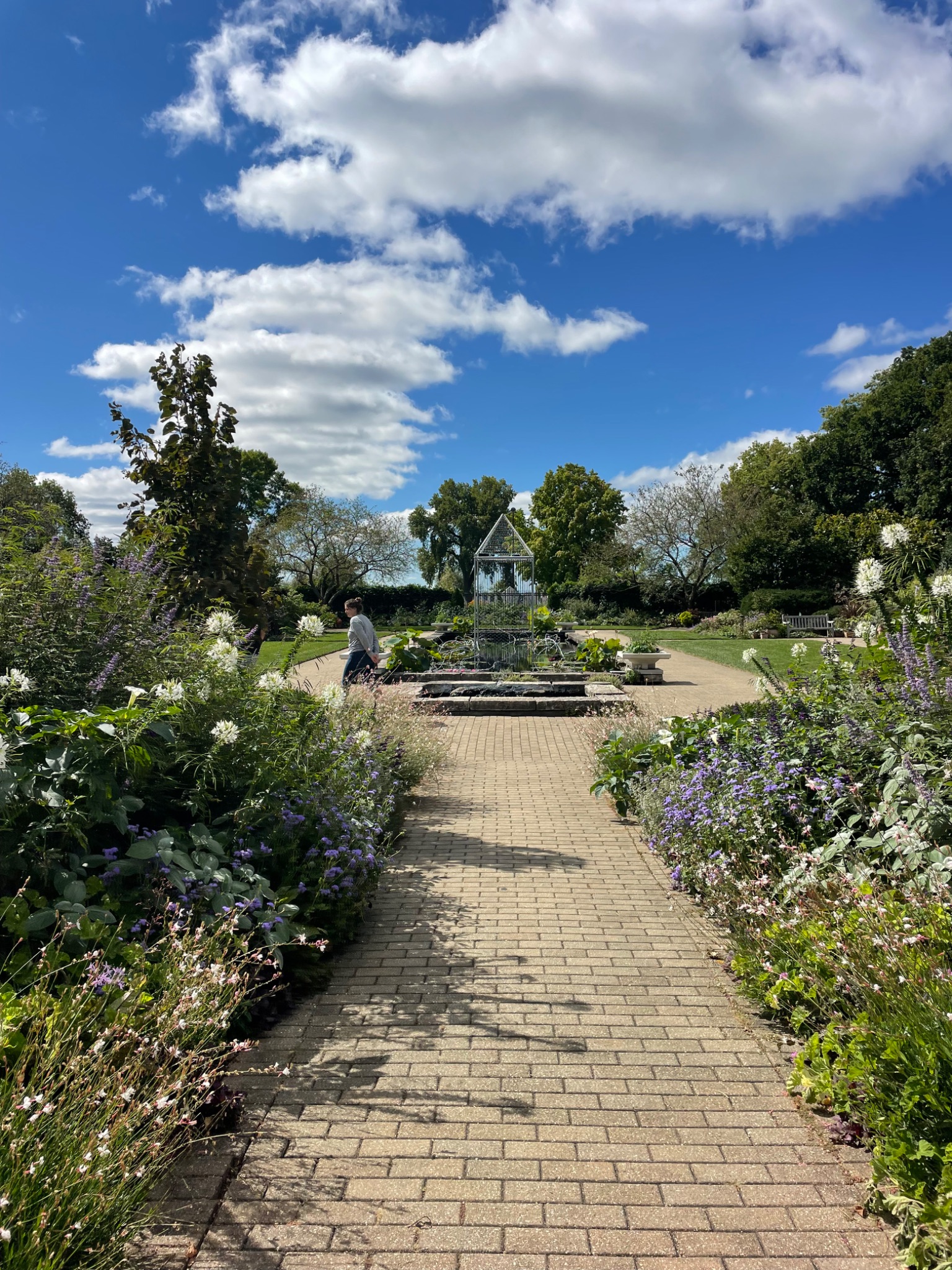 Community photo entitled Layers over gardens by Juanita Pawlisch on 09/06/2024 at Madison, WI