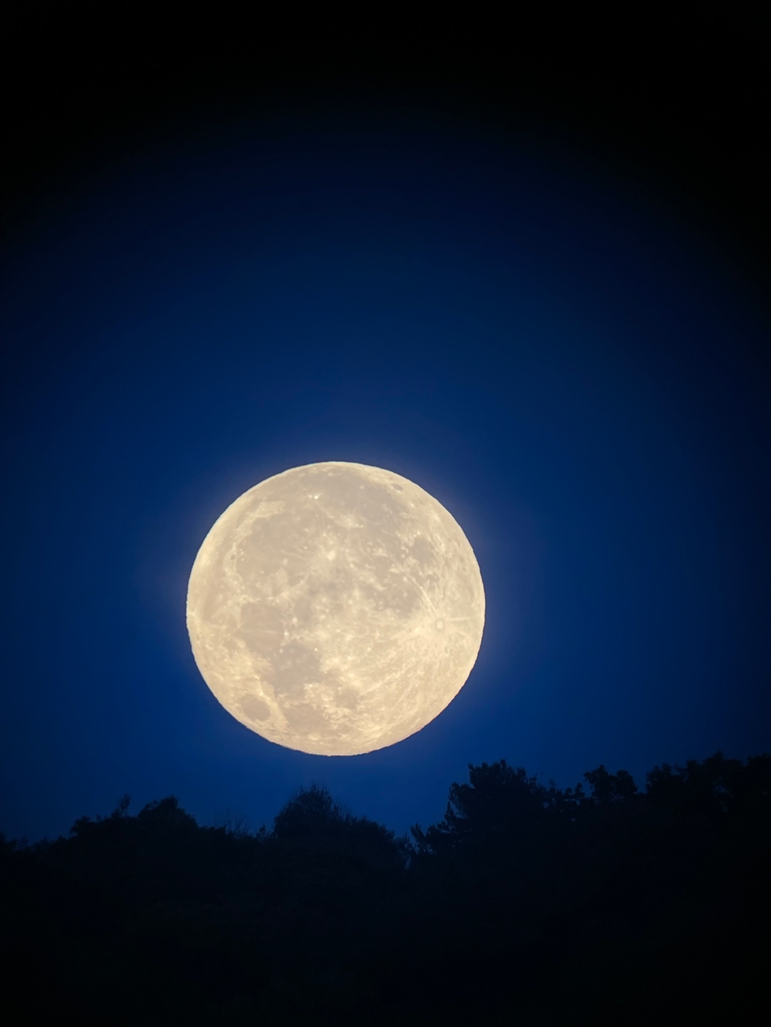 Community photo entitled Keuka Lake Harvest Moon by Carol Kuehn on 09/18/2024 at Keuka Lake, New York USA