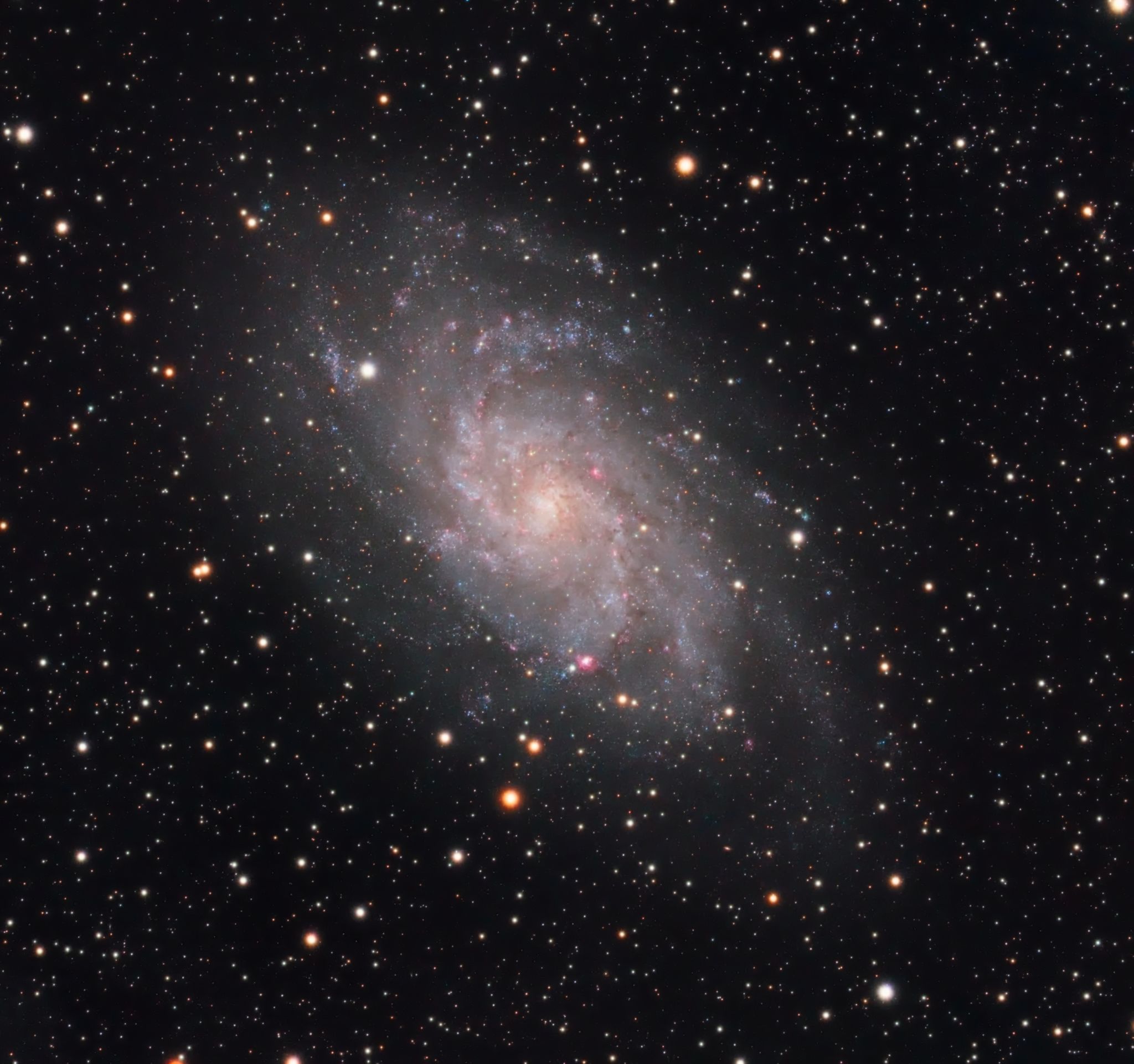 Community photo entitled M33 - The Triangulum galaxy by George Tzellos on 09/28/2024 at Mesogeia, Greece