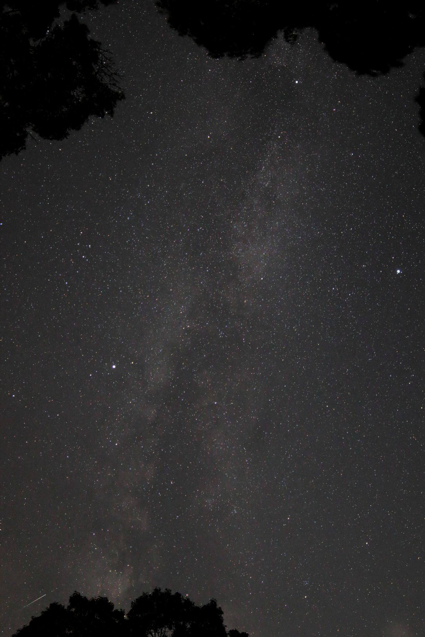 Community photo entitled The Milky Way, the Summer Triangle and a shooting Star by Steven Bellavia on 09/01/2024 at Mattituck, NY