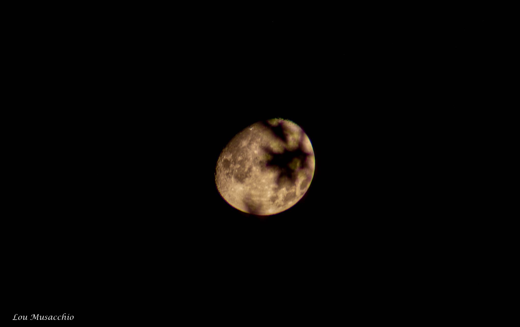 Community photo entitled Moon Time by Lou Musacchio on 09/15/2024 at Montreal, Quebec, Canada