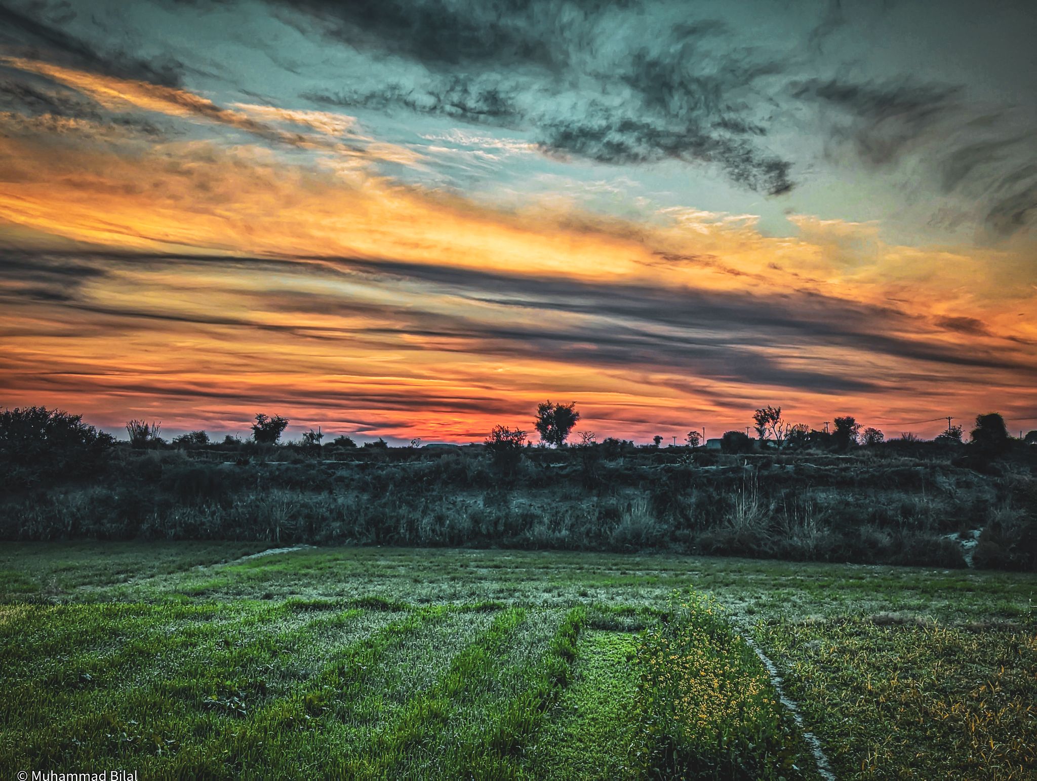 Community photo by Muhammad Bilal | Talagang Punjab Pakistan