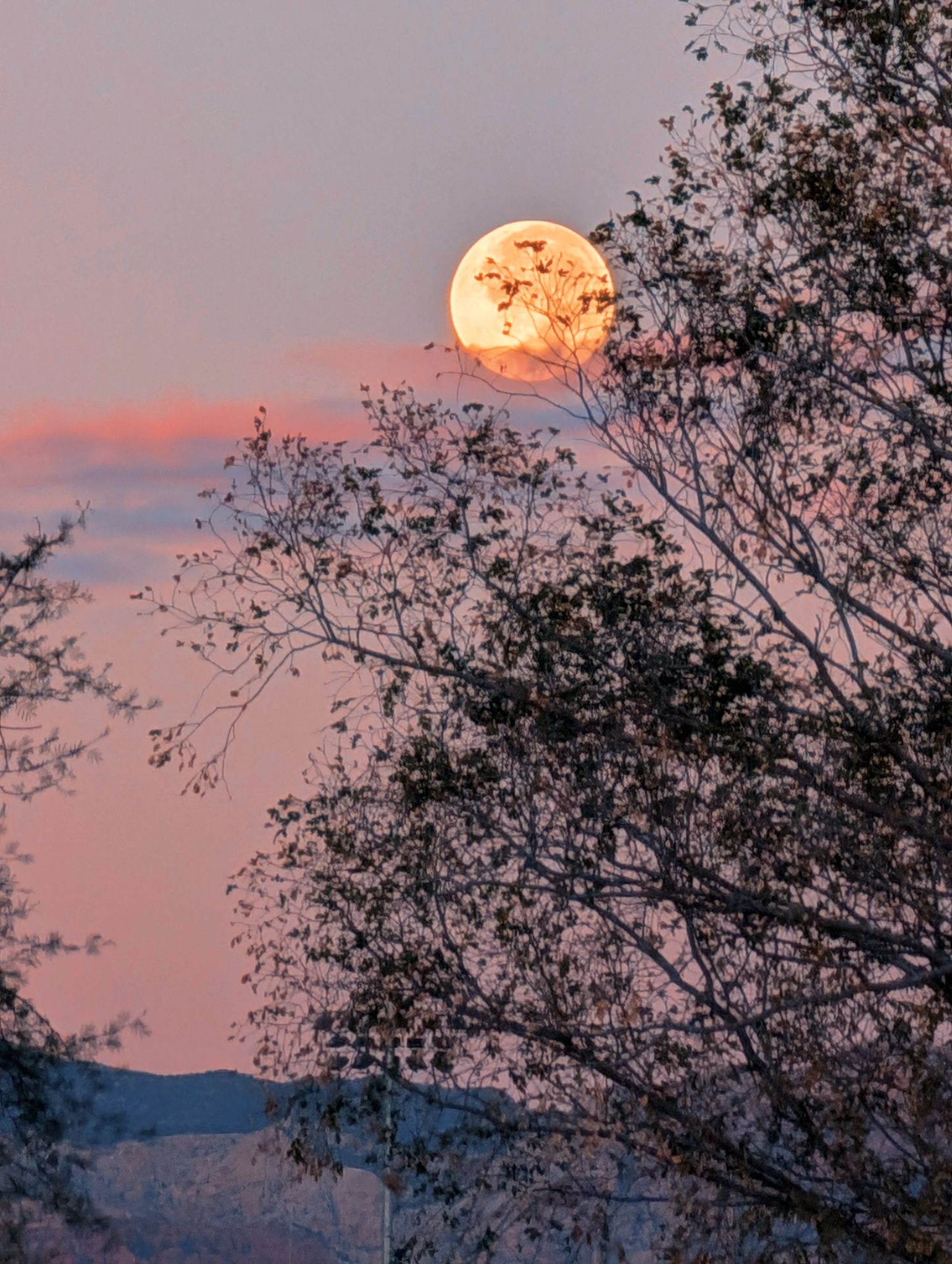 Community photo entitled Moon at Sunrise by Craig A Ruark on 09/18/2024 at Las Vegas, Nevad