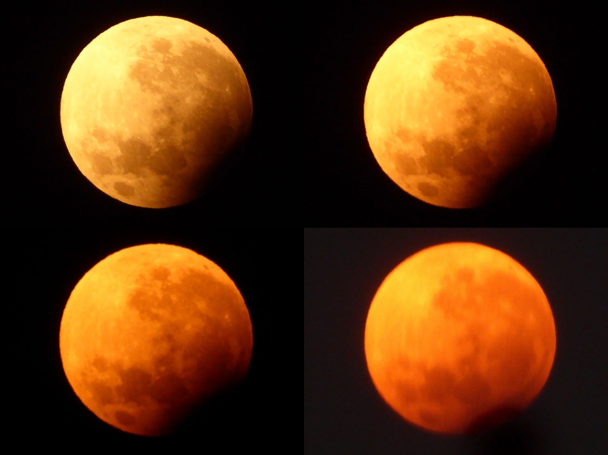 Community photo entitled Partial Eclipse of Full Supermoon 4.32-5.15 am. by Peter Lowenstein on 09/18/2024 at Mutare, Zimbabwe