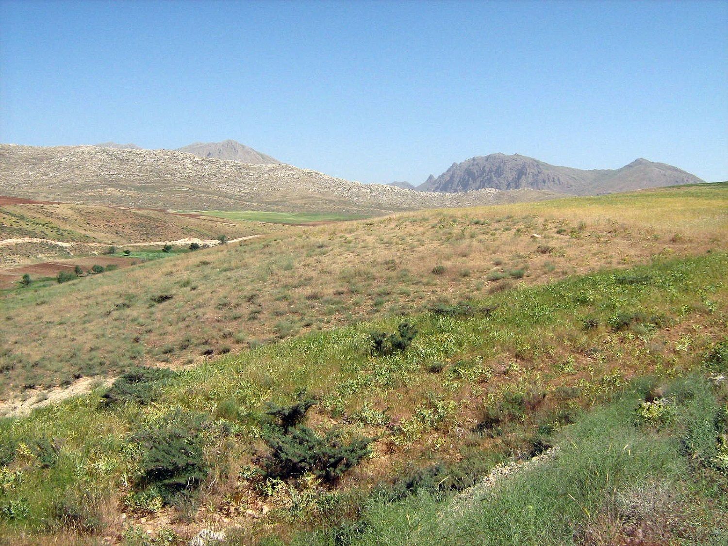 Community photo entitled  by Hassan Dadashi . Arani on 09/16/2024 at Chaharmahal and Bakhtiari province. Iran