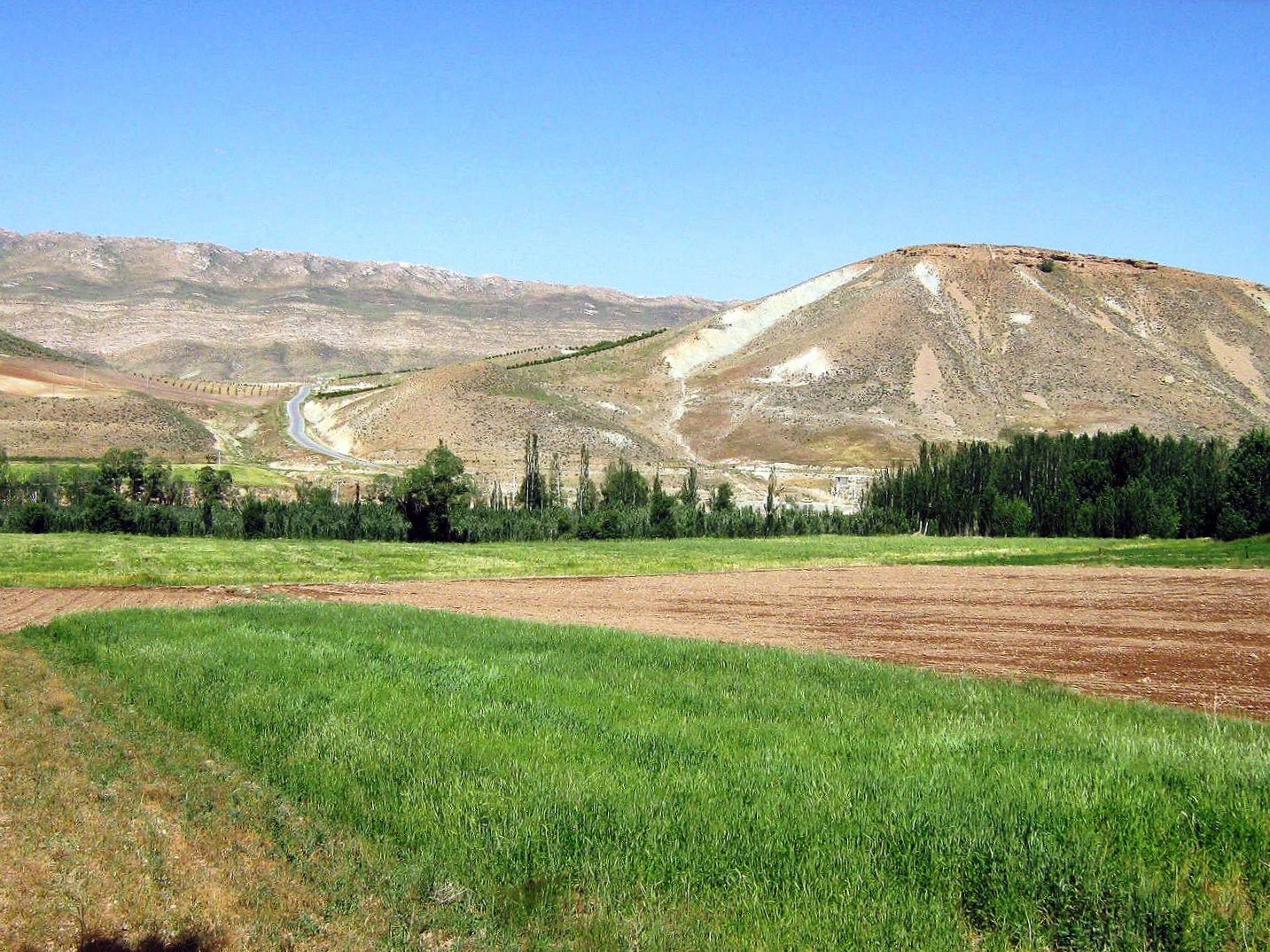 Community photo entitled  by Hassan Dadashi . Arani on 09/17/2024 at Chaharmahal and Bakhtiari province. Iran