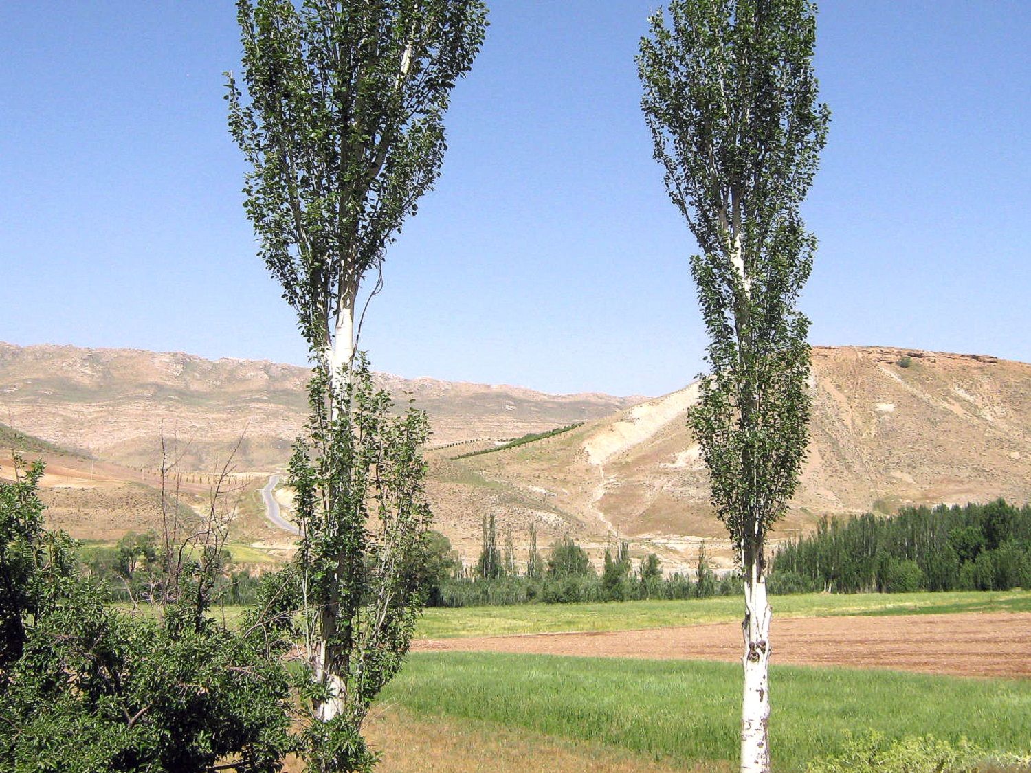 Community photo entitled  by Hassan Dadashi . Arani on 09/17/2024 at Chaharmahal and Bakhtiari province. Iran