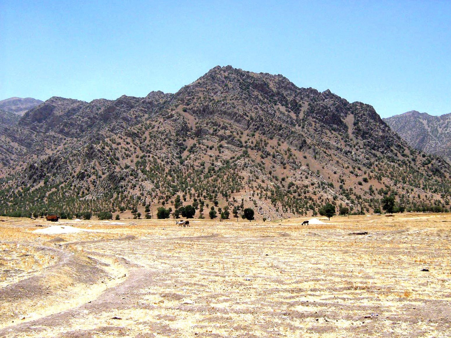 Community photo entitled  by Hassan Dadashi . Arani on 09/13/2024 at Chaharmahal and Bakhtiari province. Iran