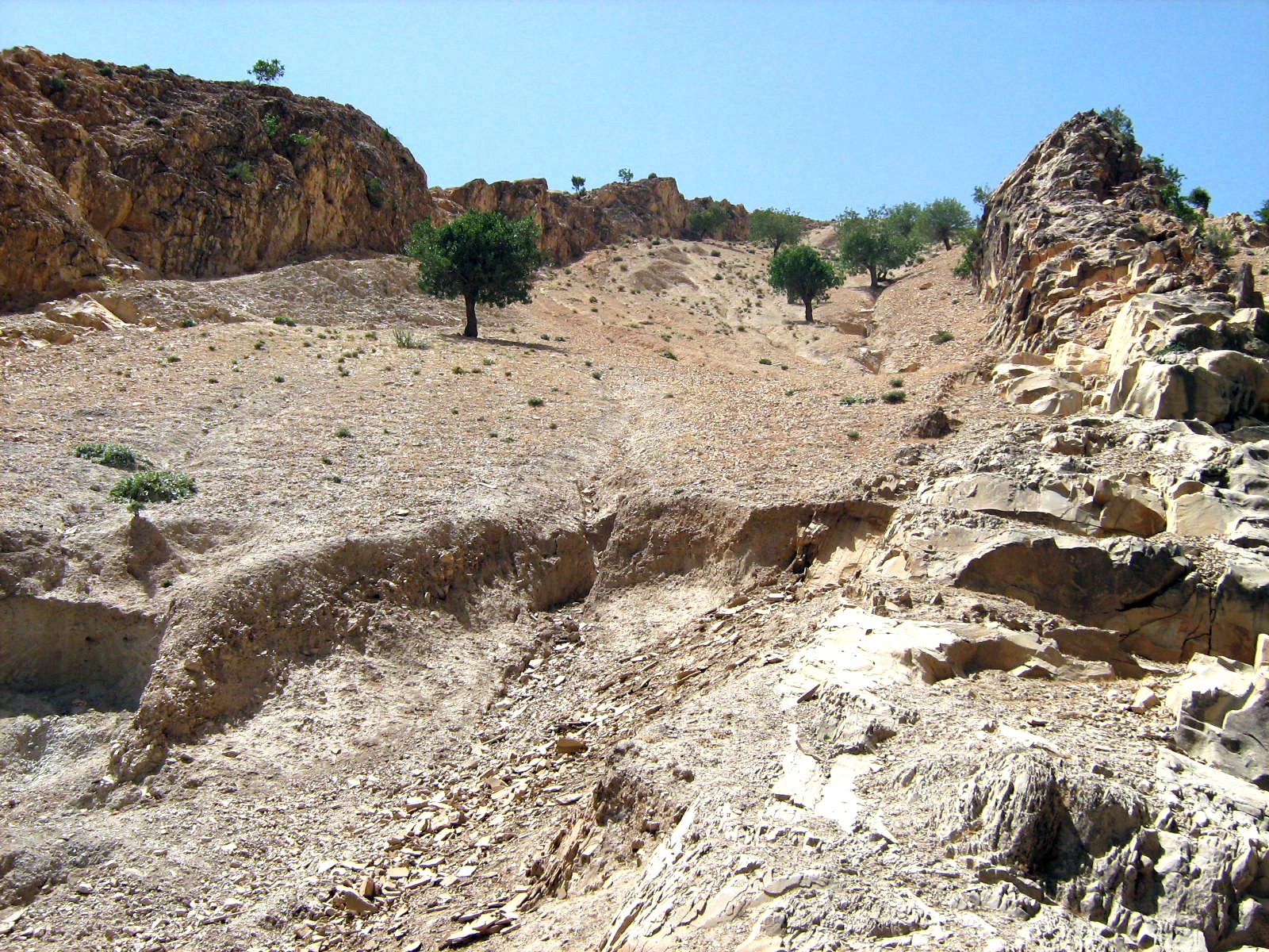 Community photo entitled  by Hassan Dadashi . Arani on 09/06/2024 at Chaharmahal and Bakhtiari province. Iran