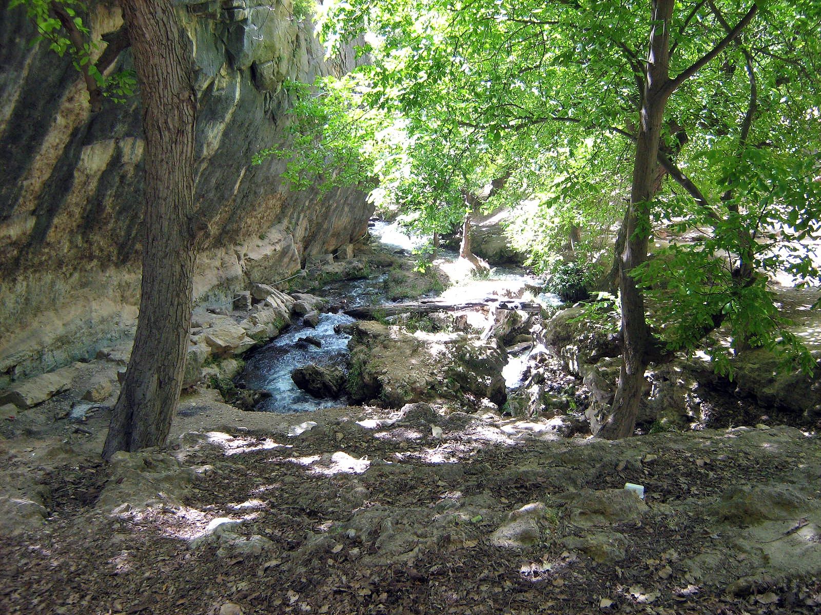 Community photo entitled  by Hassan Dadashi . Arani on 09/06/2024 at Chaharmahal and Bakhtiari province. Iran