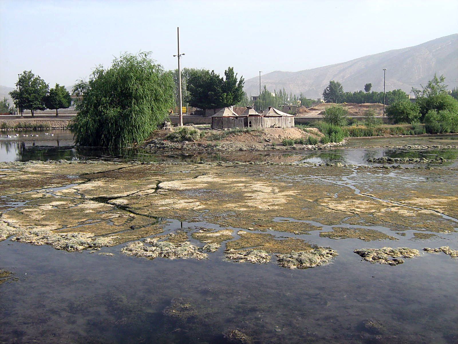 Community photo entitled  by Hassan Dadashi . Arani on 09/03/2024 at Chaharmahal and Bakhtiari province. Iran