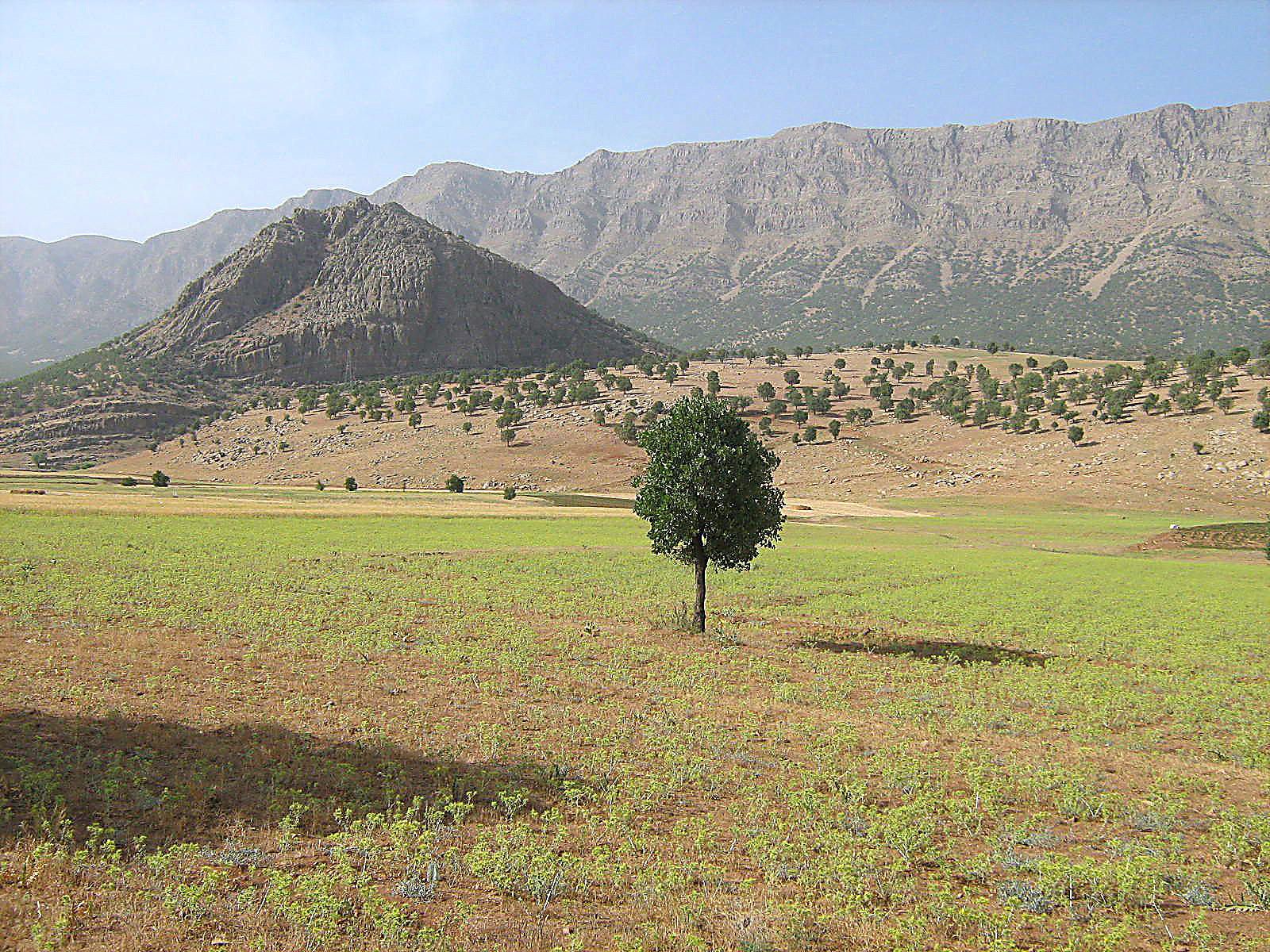 Community photo by Hassan Dadashi . Arani | Chaharmahal and Bakhtiari province. Iran