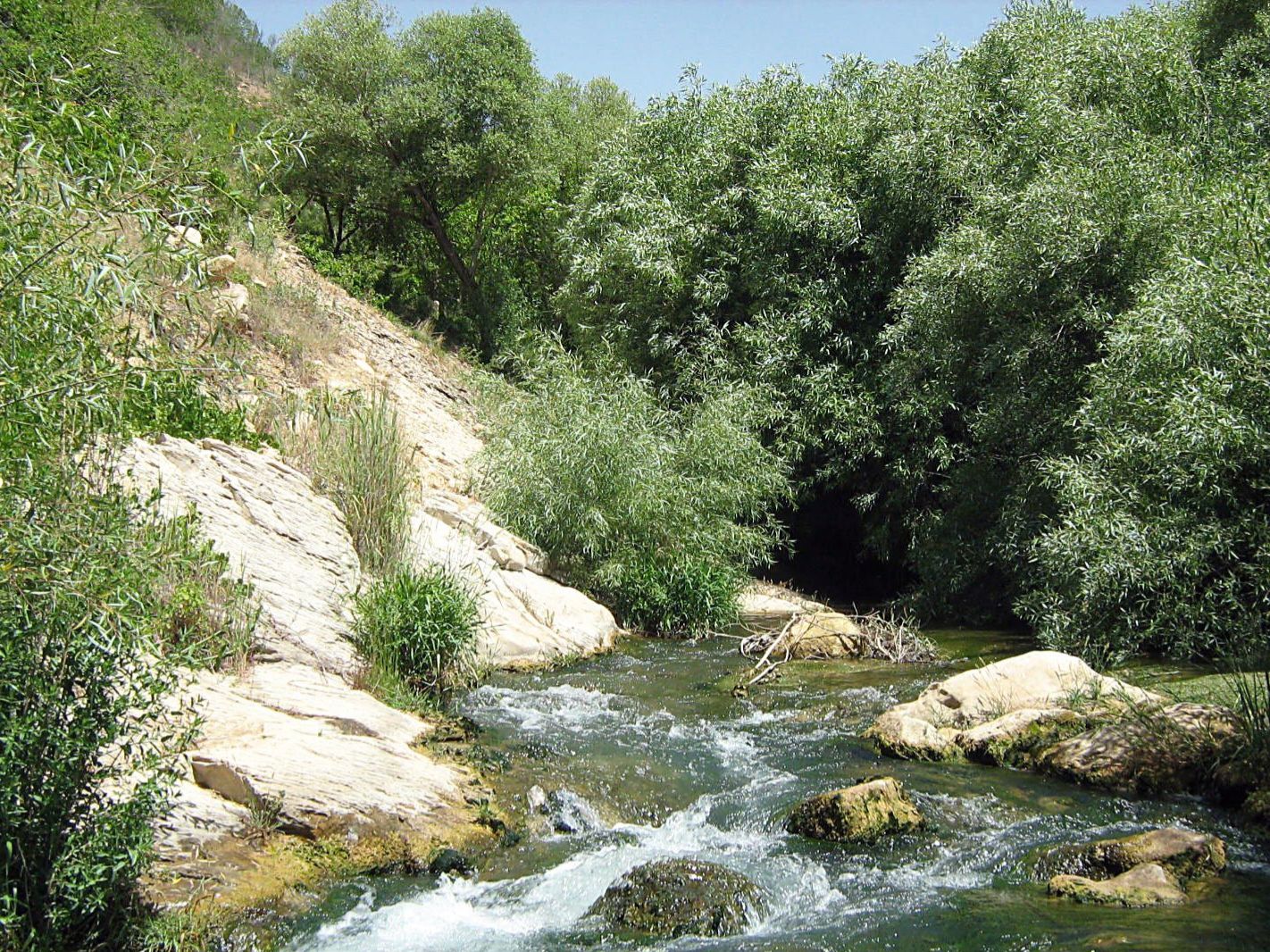 Community photo entitled  by Hassan Dadashi . Arani on 09/08/2024 at Chaharmahal and Bakhtiari province. Iran