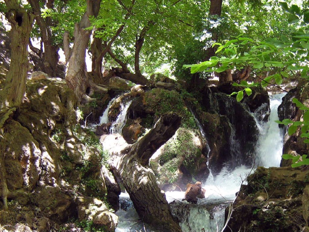 Community photo entitled  by Hassan Dadashi . Arani on 09/08/2024 at Chaharmahal and Bakhtiari province. Iran