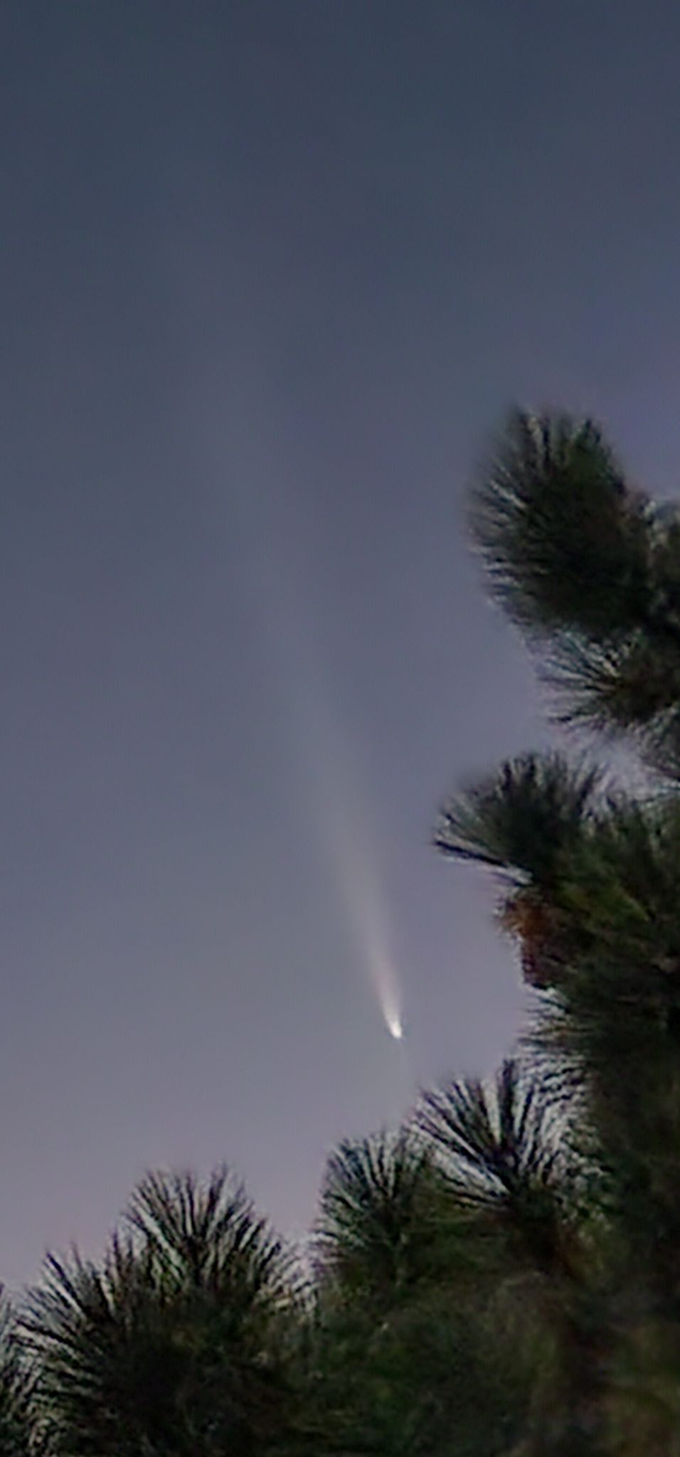 Community photo entitled Comet C/2023 A3 ( Tsuchinshan-ATLAS) by Ron Andersen on 10/14/2024 at Mt San Jacinto, California