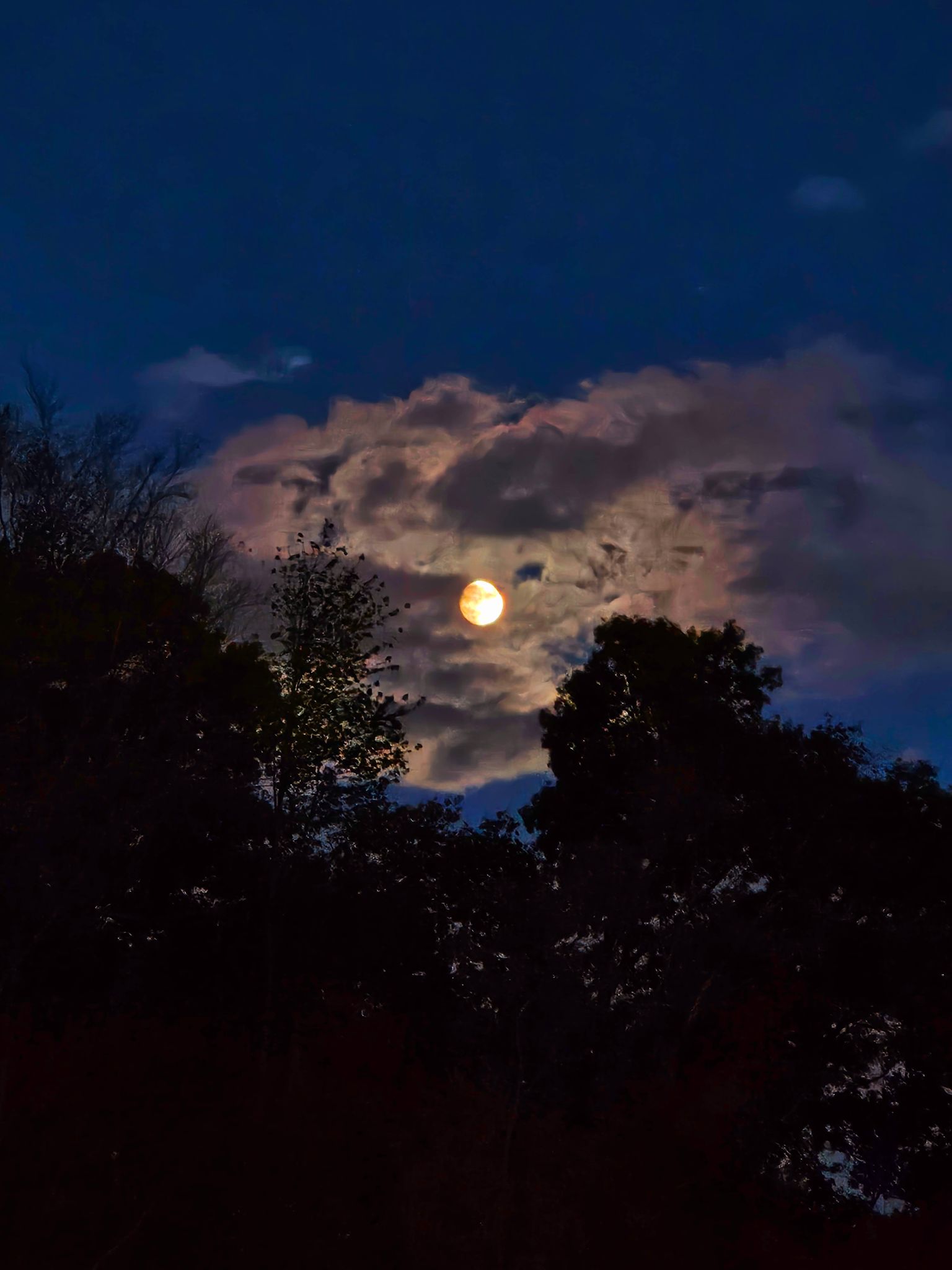 Community photo entitled Man in the moon by C. Gentile on 10/15/2024 at Florham Park, NJ USA