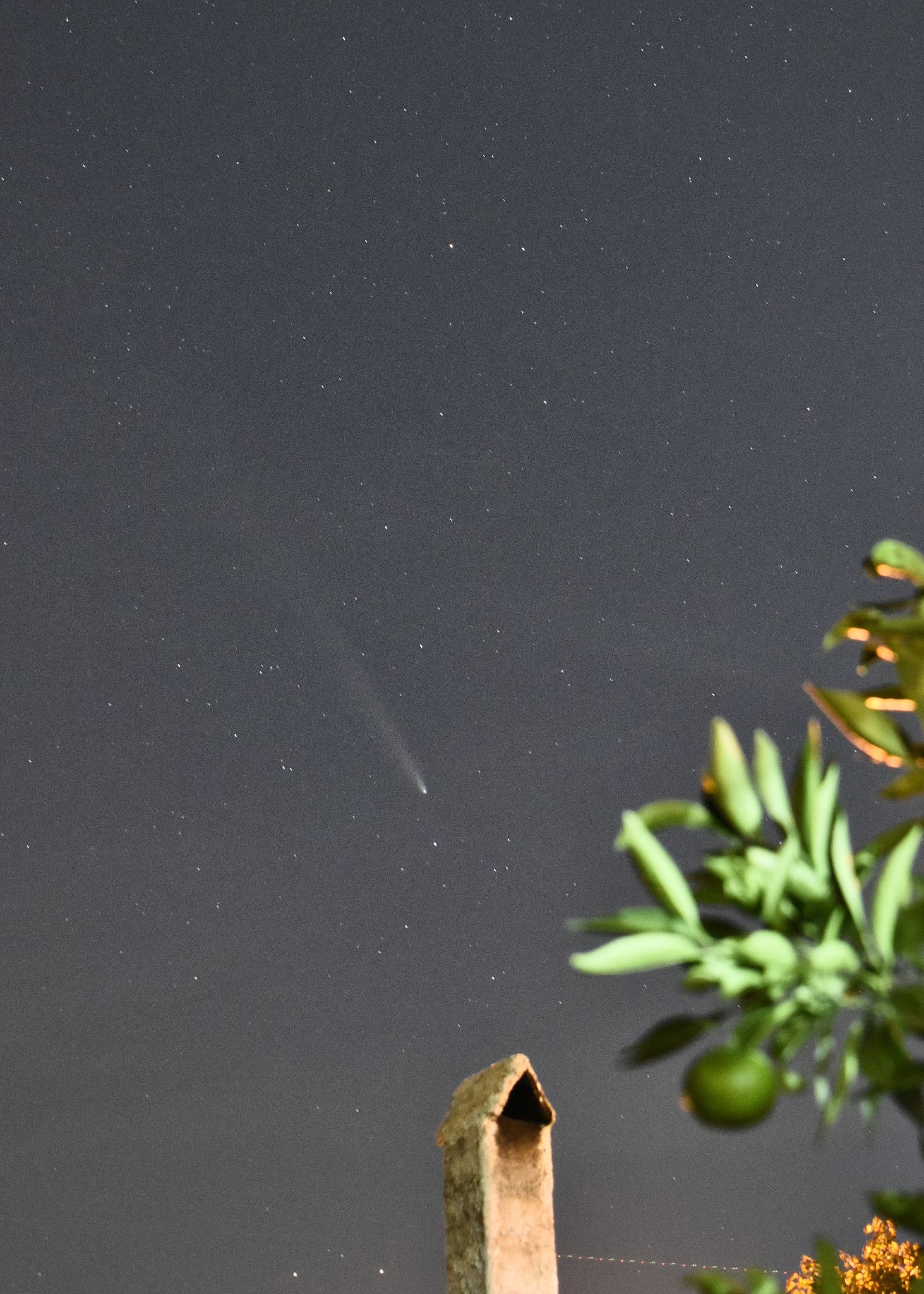 Community photo by Adelina Bathorja | Tirana, Albania