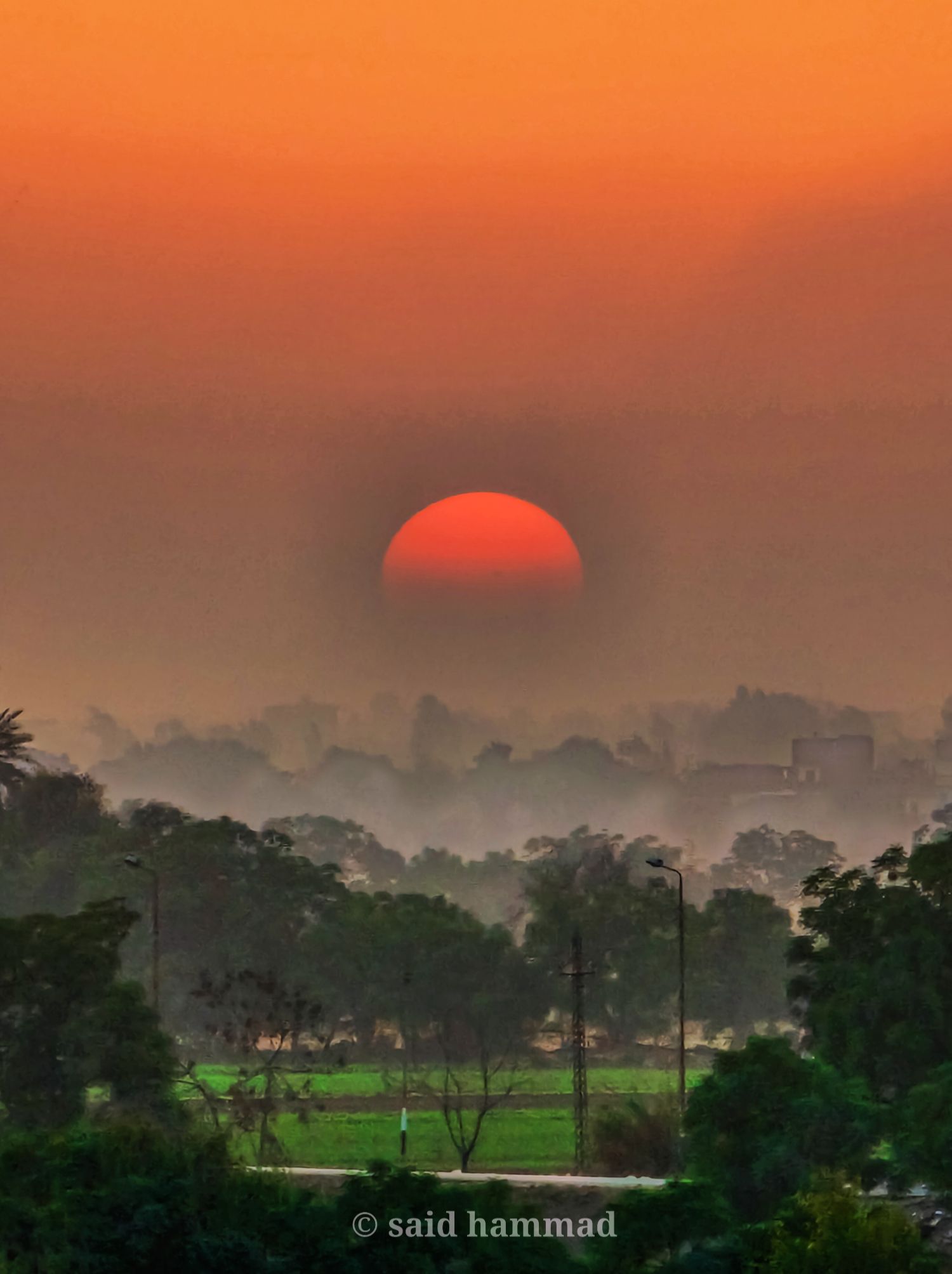 Community photo by Said Hammad | احد قري مصر علي ضفاف النيل